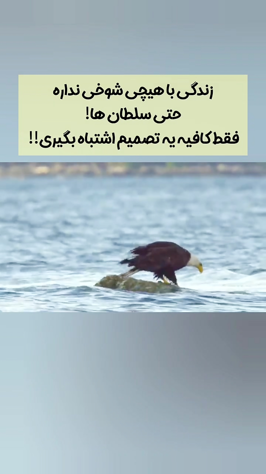 اشتباه در تصمیم گیری