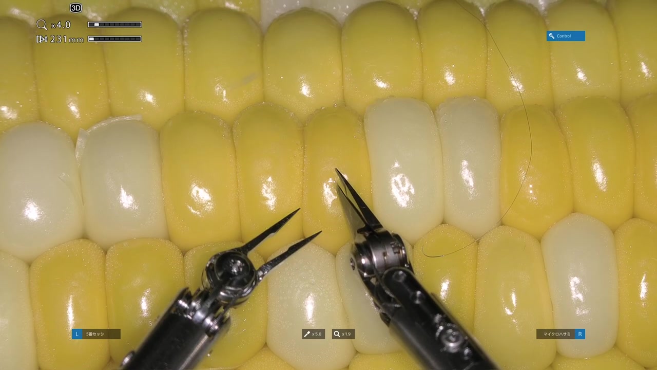 جراحی ربات سونی روی یک دانه ذرت با دقت حیرت‌انگیز