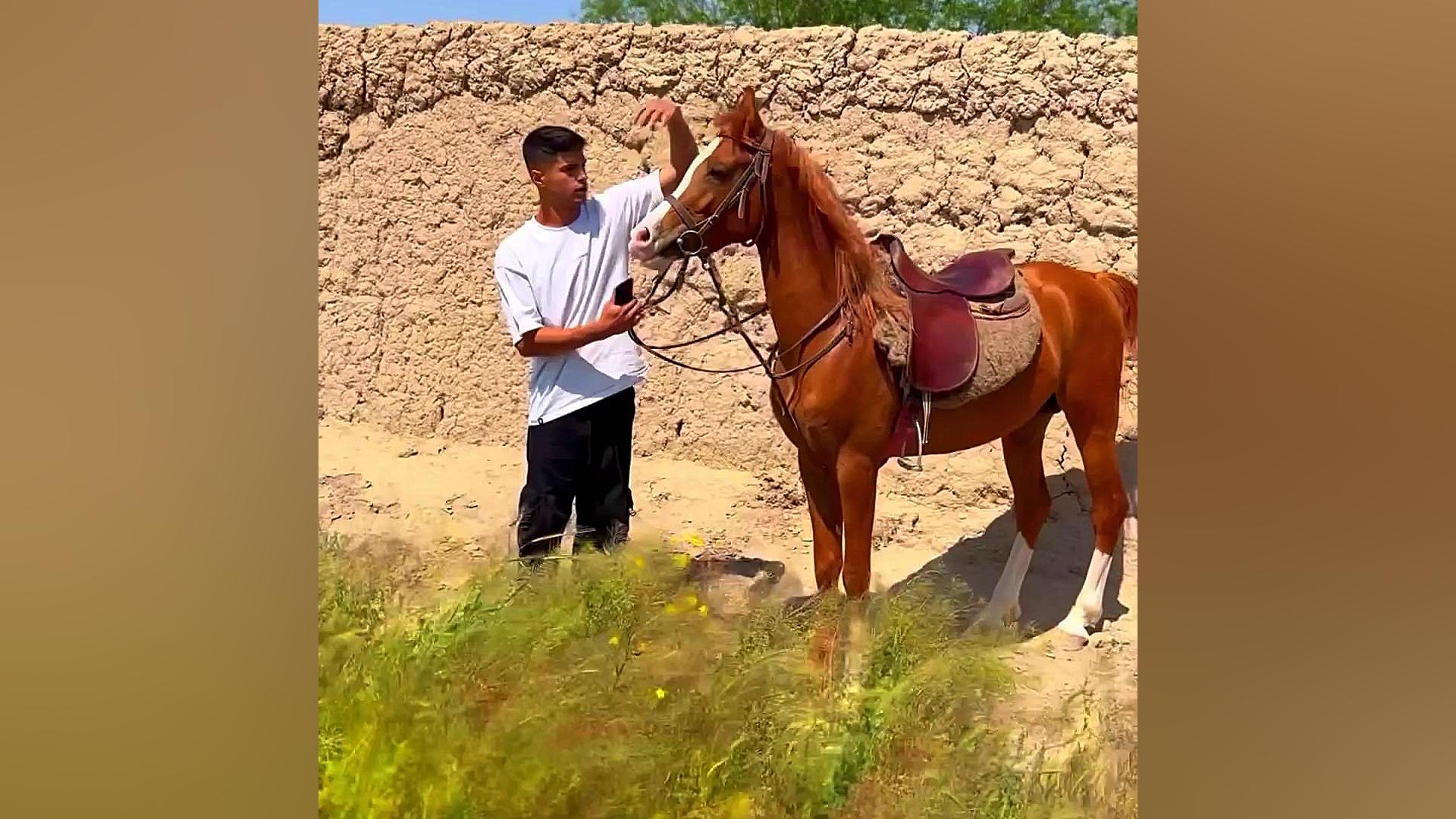گیم پرویز پرستویی