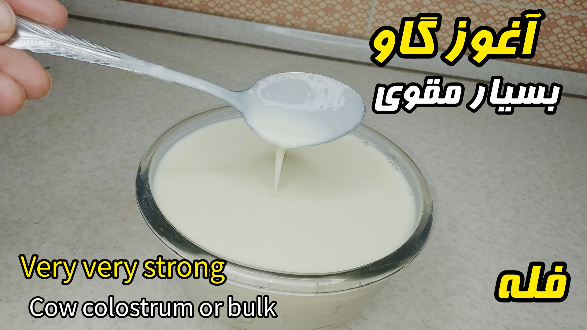طرزتهیه فله باآغوز گاو بسیار مقوی تقویت کننده سیستم ایمنی بدن زیبایی پوست
