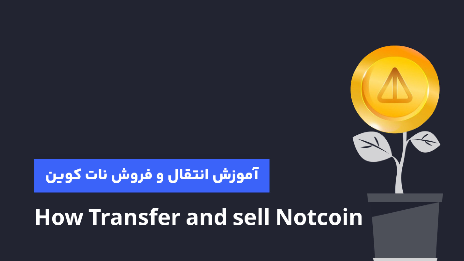 آموزش , فروش , انتقال , نات , کوین , صرافی , رابکس