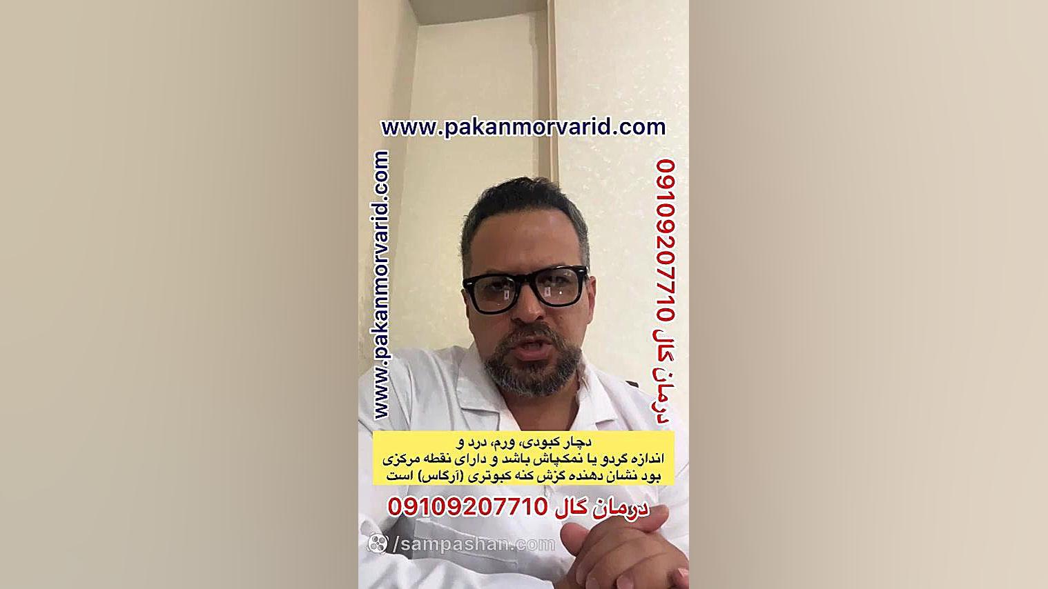 آشنایی با علائم بیماری گال و راههای درمان گال سلفی کله‌معمولی