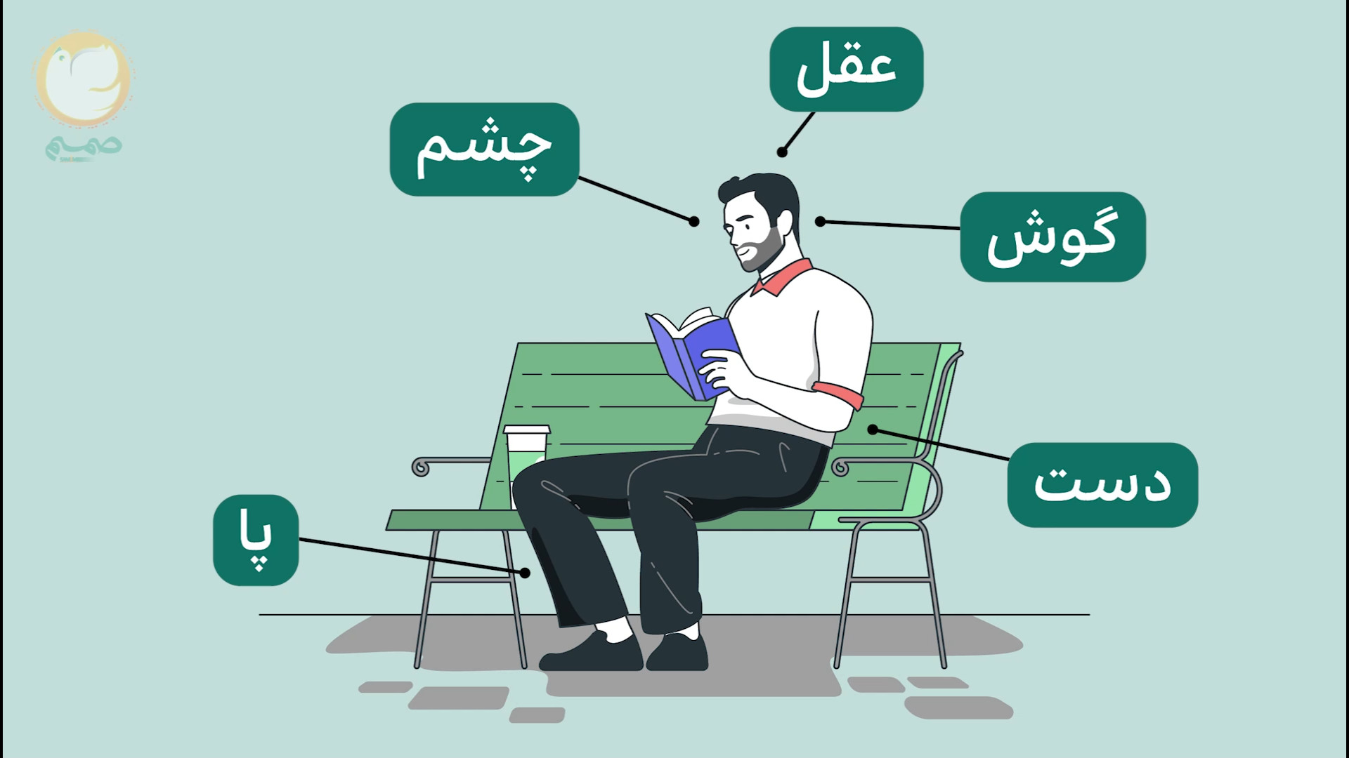 عبور از بحران هویت - قسمت چهارم: قوانین تکوینی (قواعد ساختاری) بیولوژی تکوینی