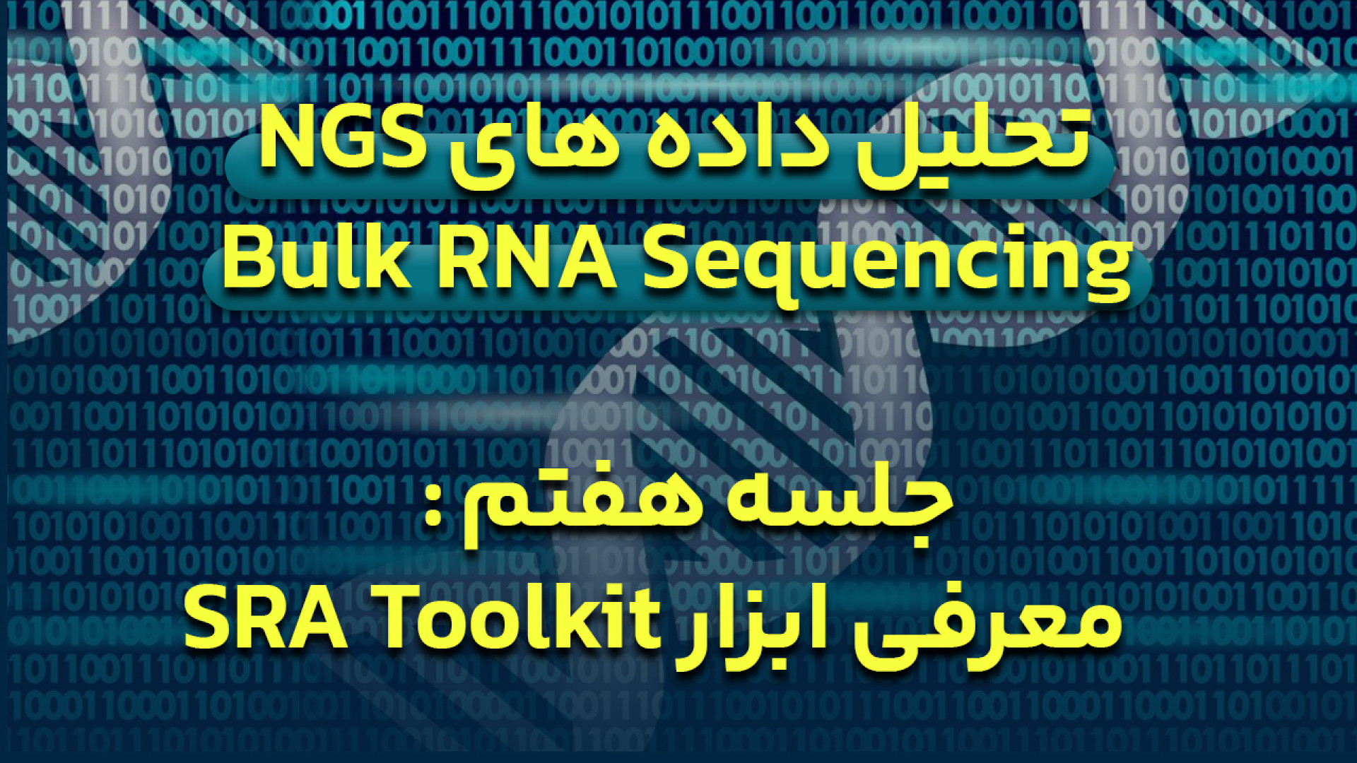 دوره آموزش تحلیل داده های NGS برای Bulk RNA Sequencing - جلسه 7 : SRA toolkit گیم پلی