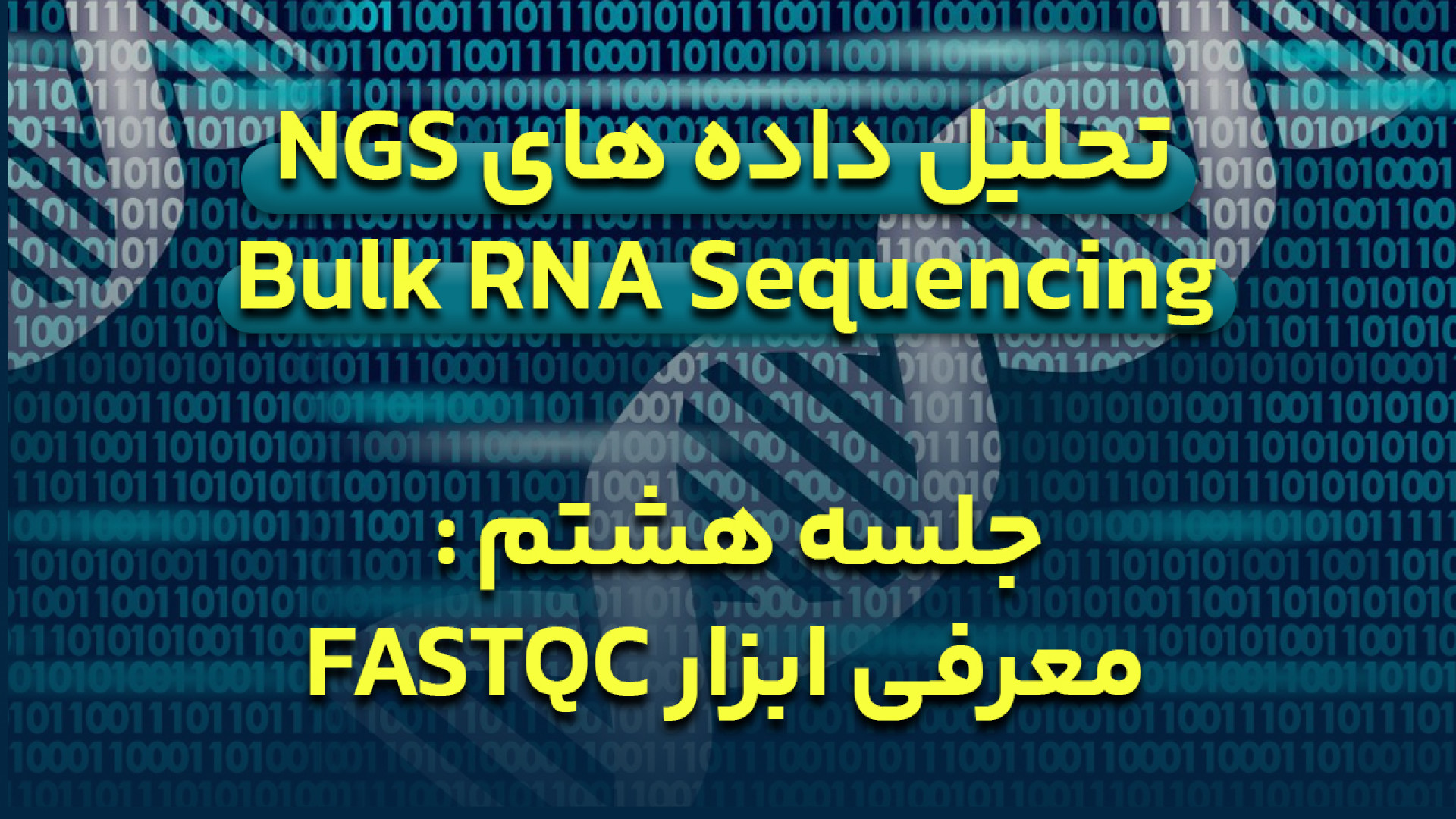 دوره آموزش تحلیل داده های NGS برای Bulk RNA Sequencing - جلسه 8 : fastQC لیزر موهای زائد