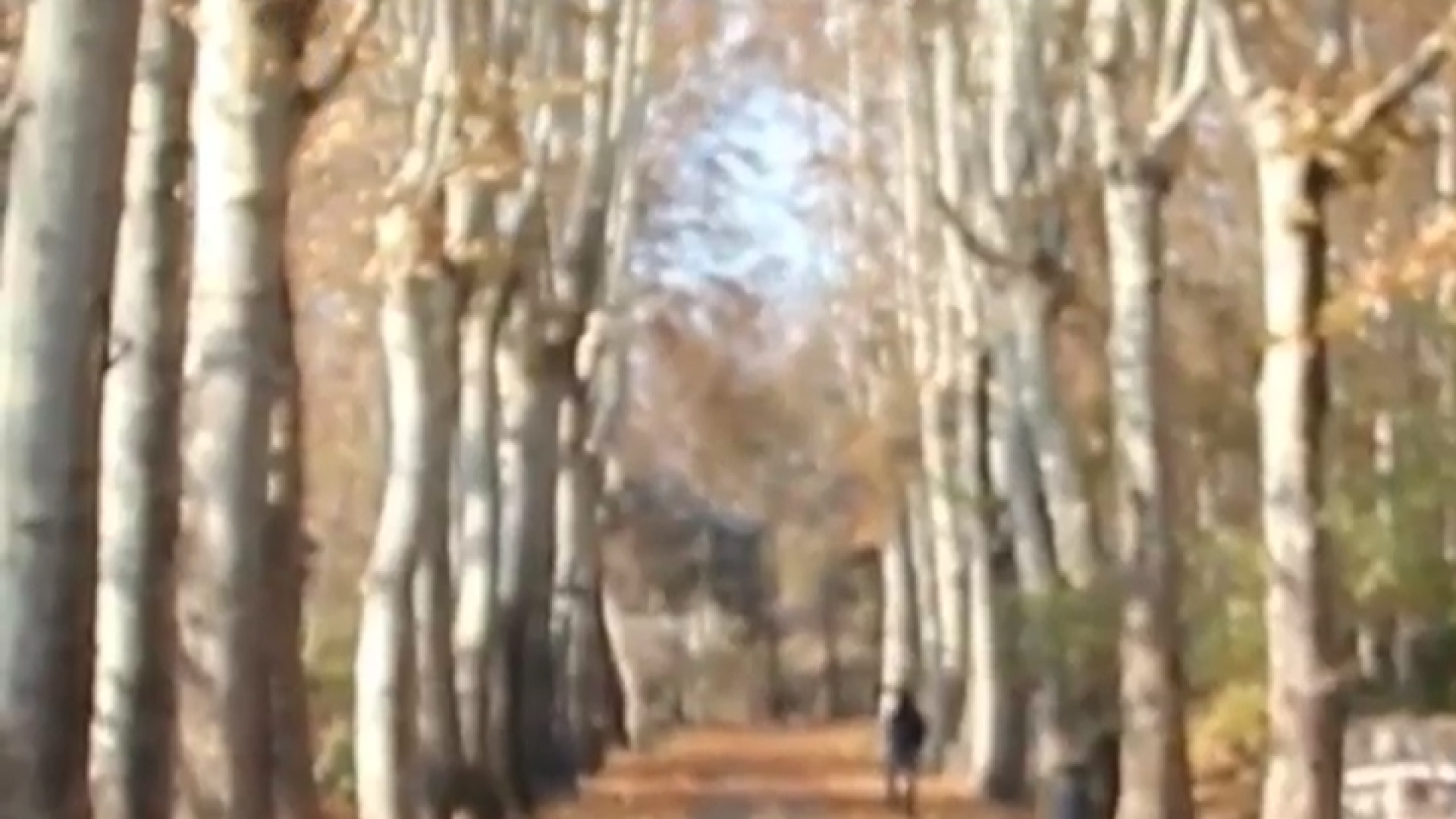پوستر کوچک