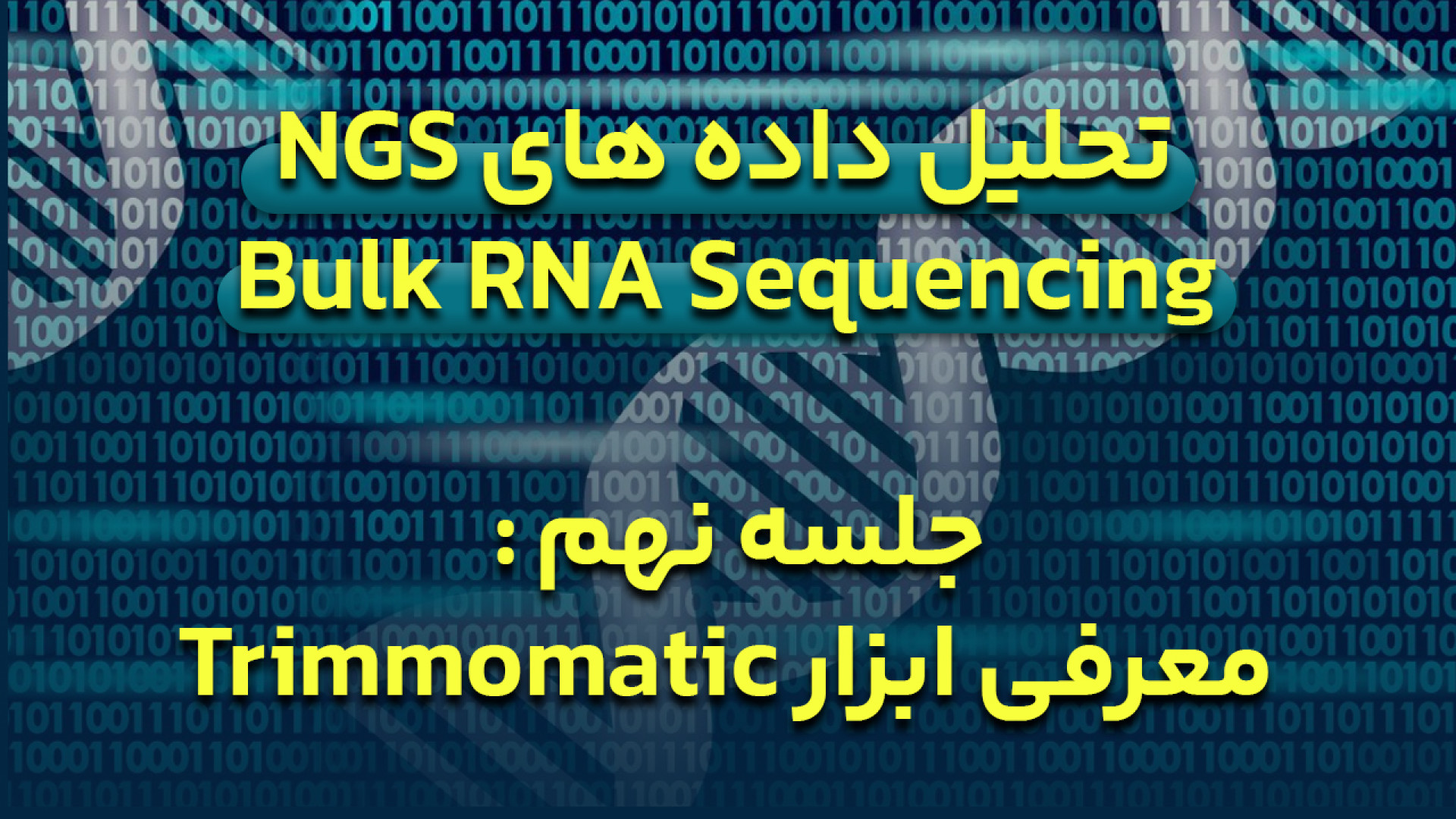 دوره آموزش تحلیل داده های NGS برای Bulk RNA Sequencing - جلسه 9 : Trimmomatic هیو جکمن