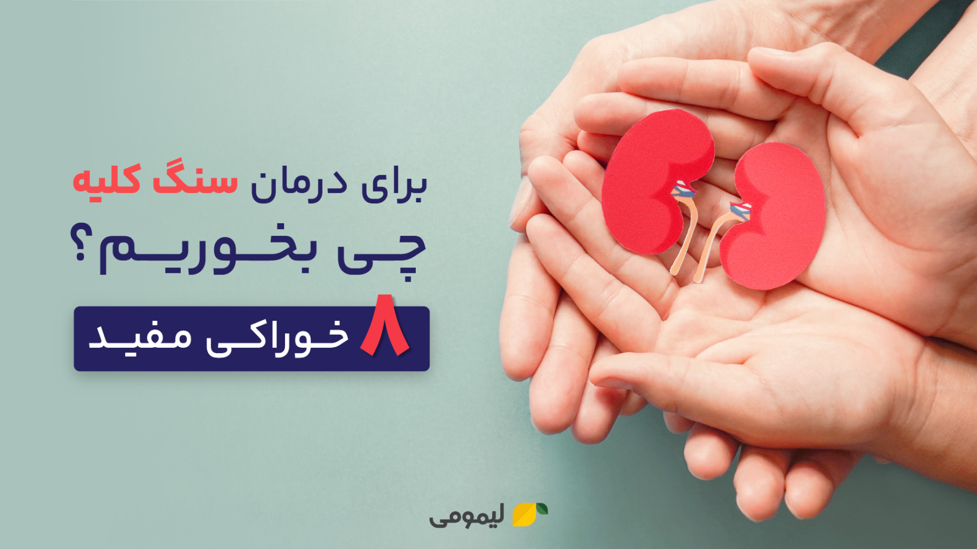 برای درمان سنگ کلیه چی بخوریم؟ 8 خوراکی مفید ترمیم ونیر