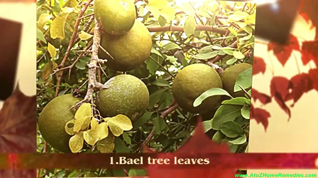 درمان طبیعی اسم یا تنگی نفس به صورت طبیعی کلینیک مو