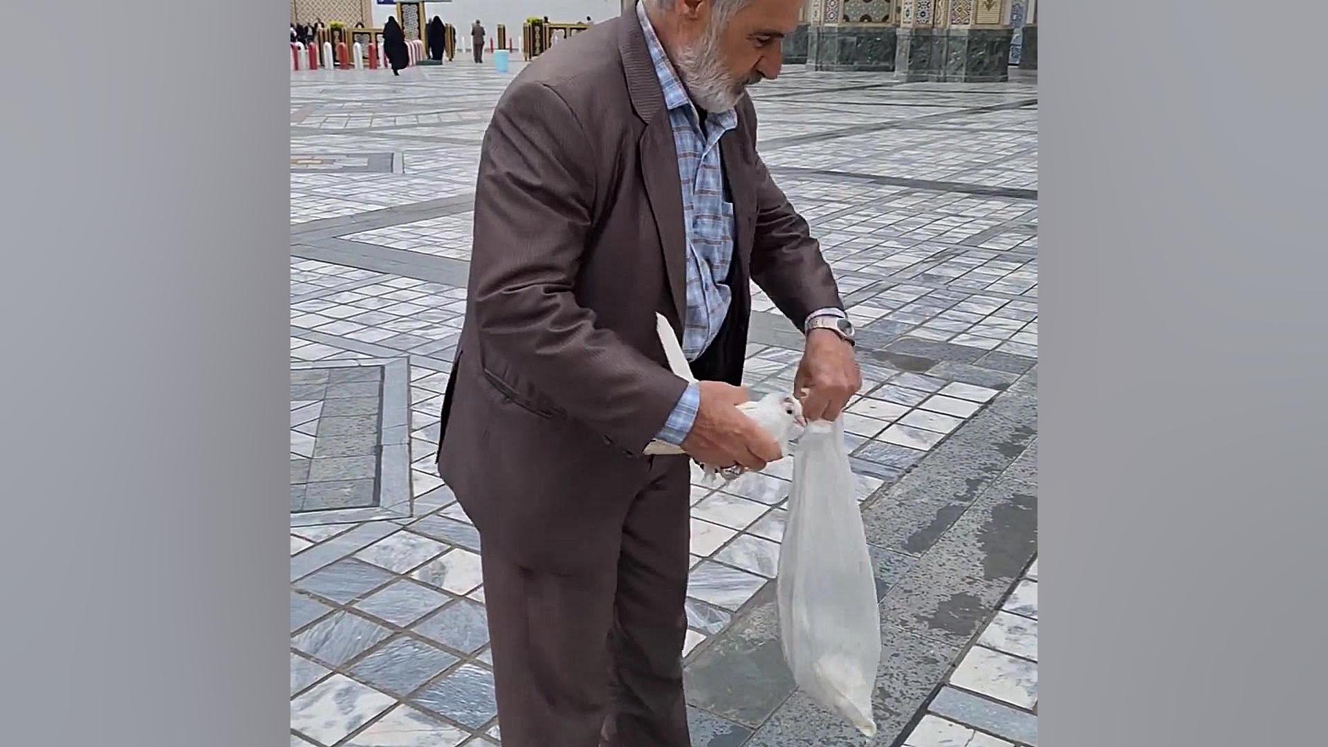 وقتی کبوتر بچه تو که ناراضی هستش نذر حرم می‌کنی