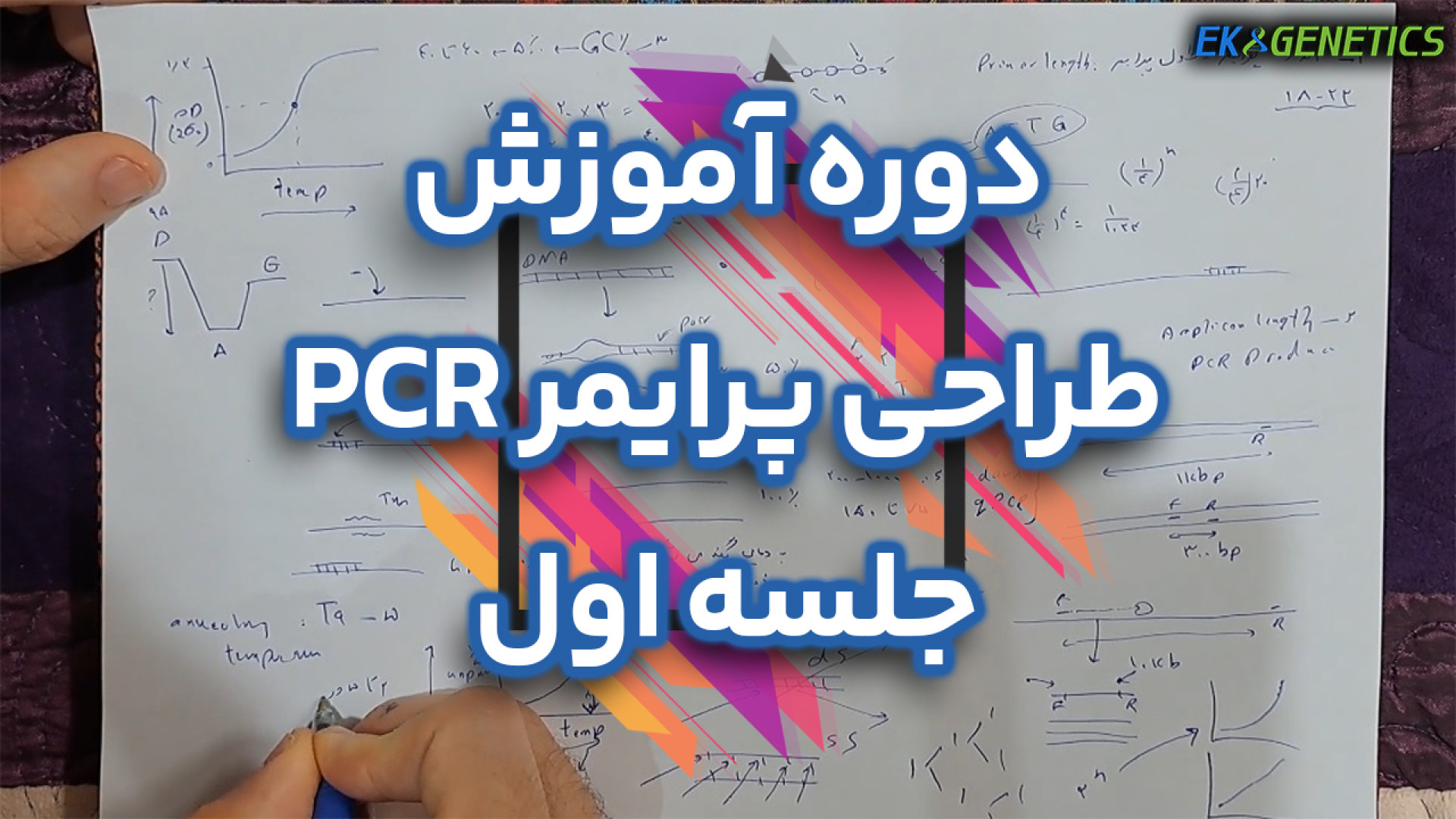 آموزش طراحی پرایمر PCR - جلسه 1 : قواعد طراحی پرایمر جنیفر لارنس