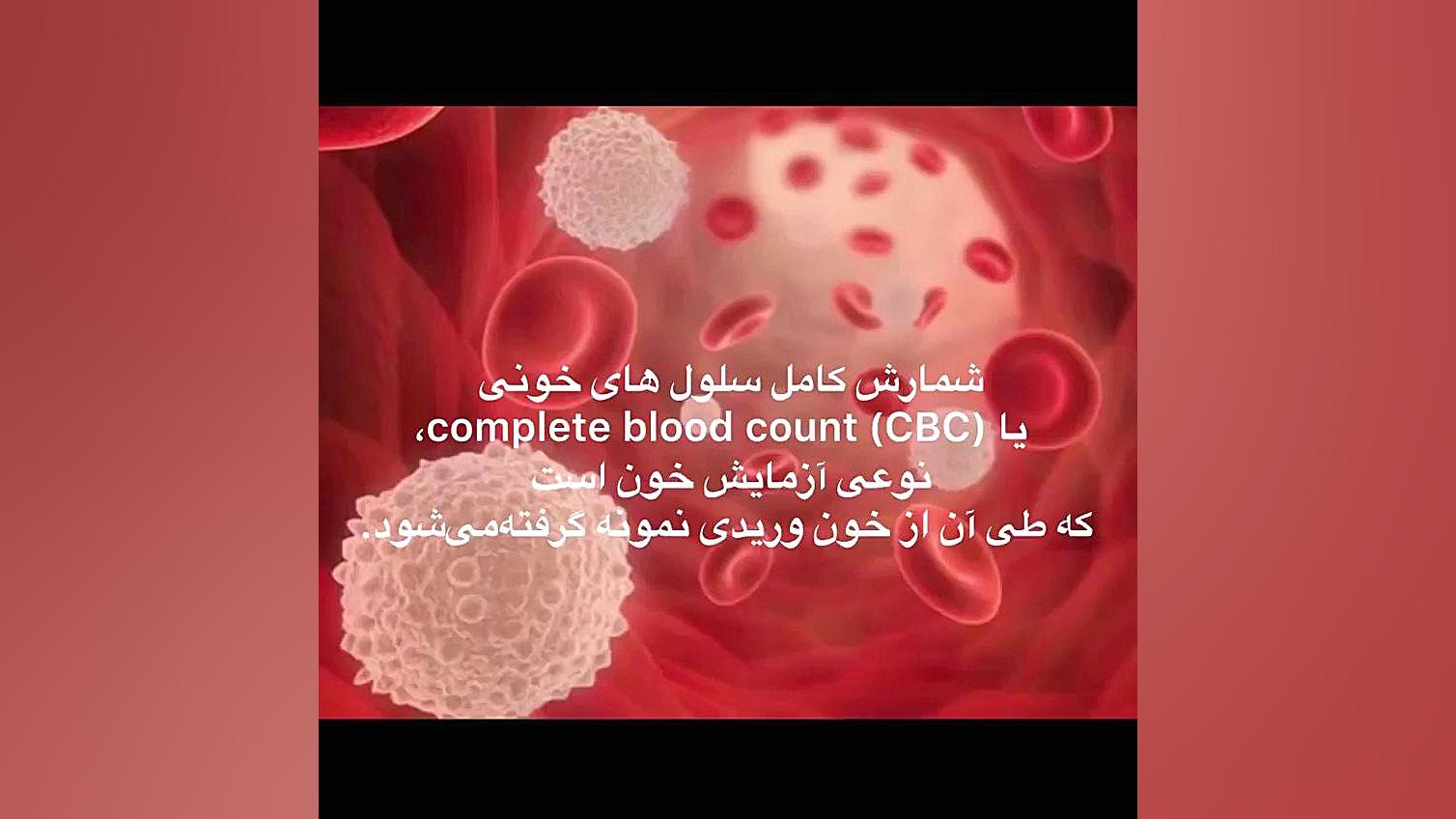 آزمایش شمارش گلبول های قرمز دانشگاه شهر قدس استاد آفاق باپیرزاده Autophagy Detection Kit