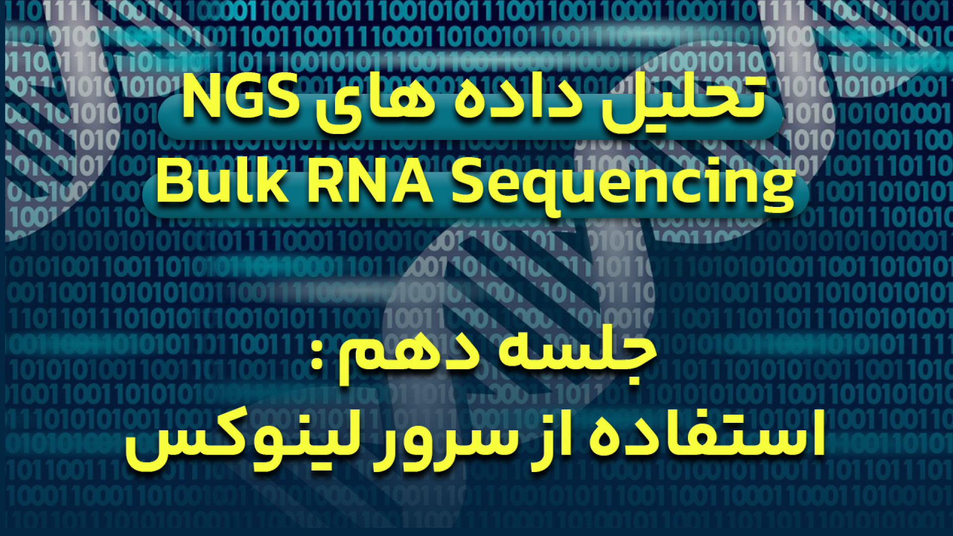 دوره آموزش تحلیل داده های NGS برای Bulk RNA Sequencing - جلسه 10 : سرور لینوکس ترانه علیدوستی
