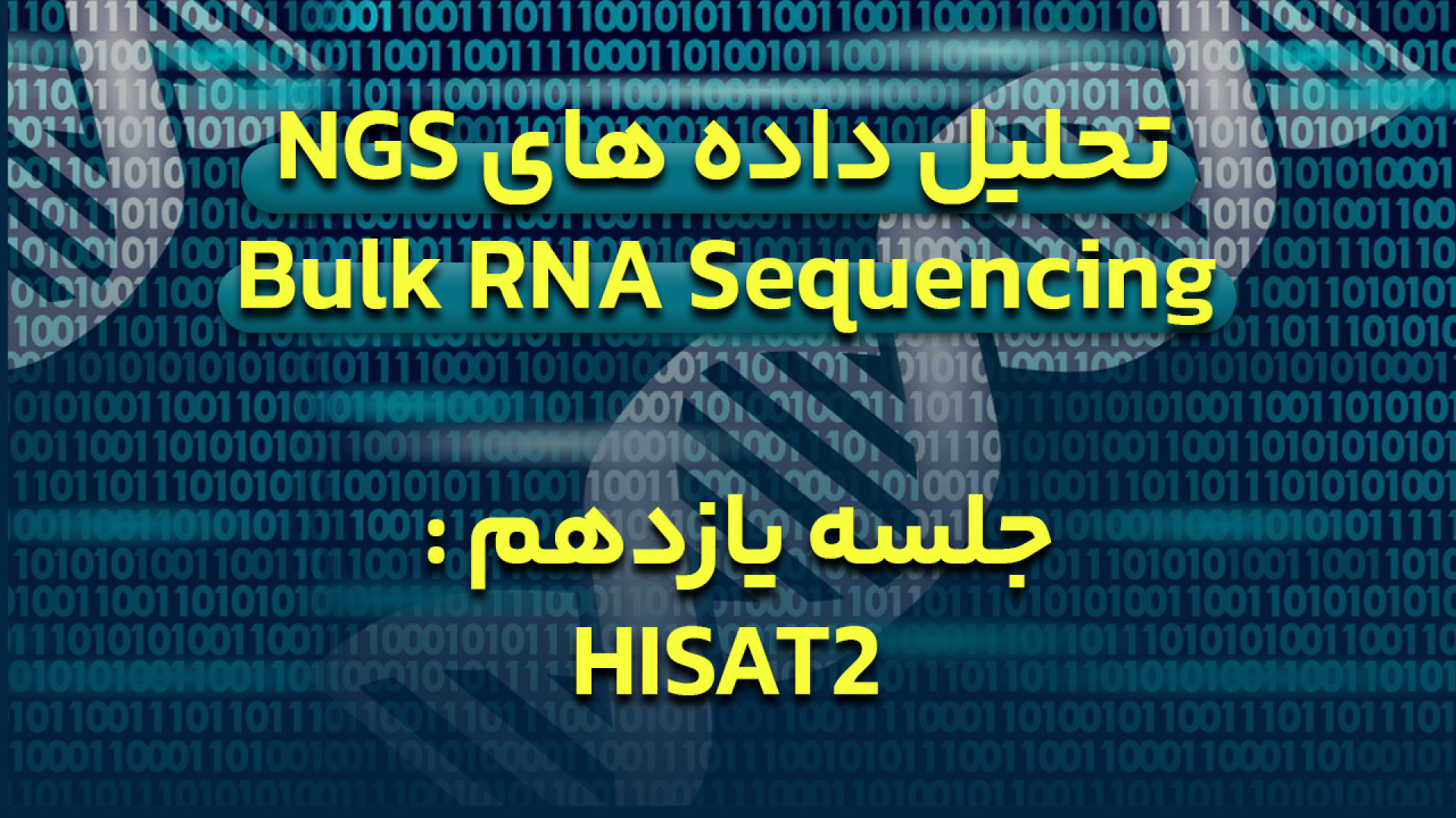 دوره آموزش تحلیل داده های NGS برای Bulk RNA Sequencing - جلسه 11 : HISAT2 فریدون فروغی