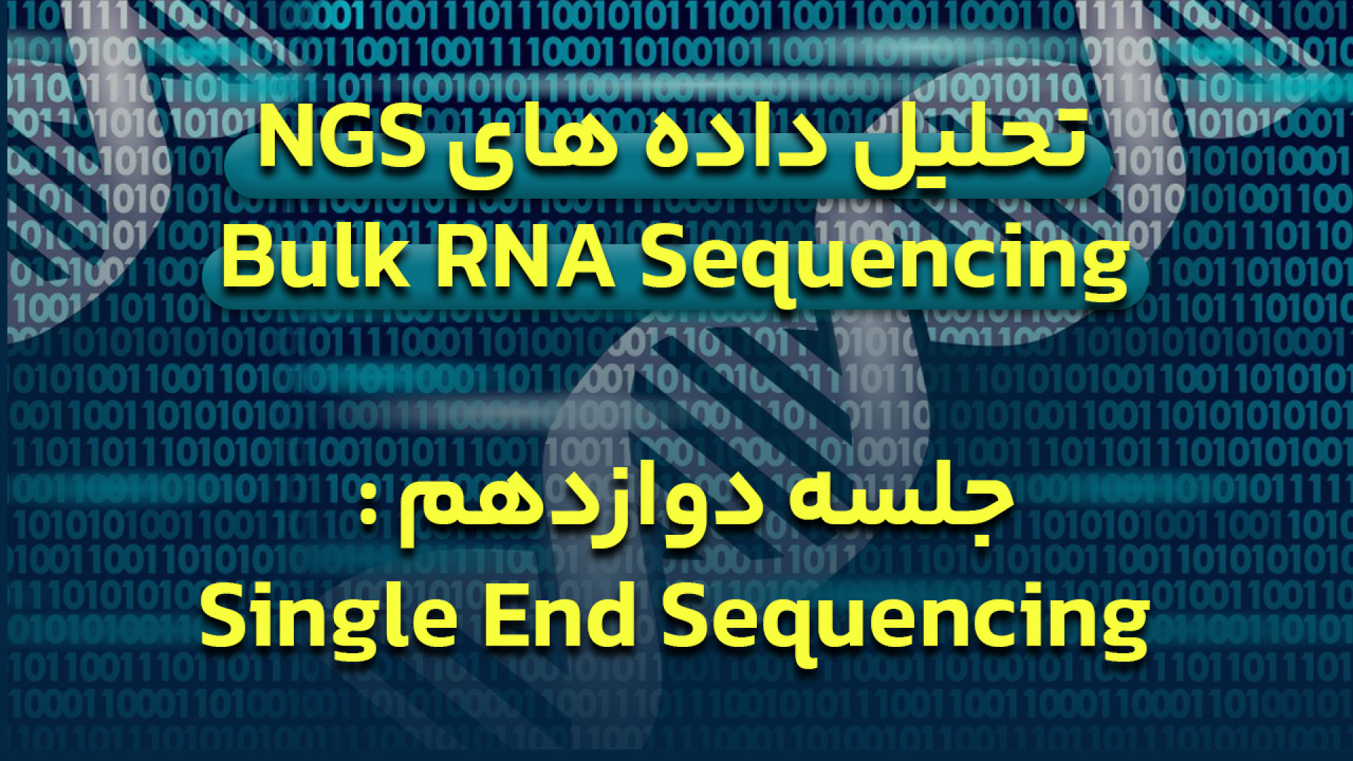 دوره آموزش تحلیل داده های NGS برای Bulk RNA Sequencing - جلسه 12 : Single End کلینیک دندانپزشکیعلی دایی