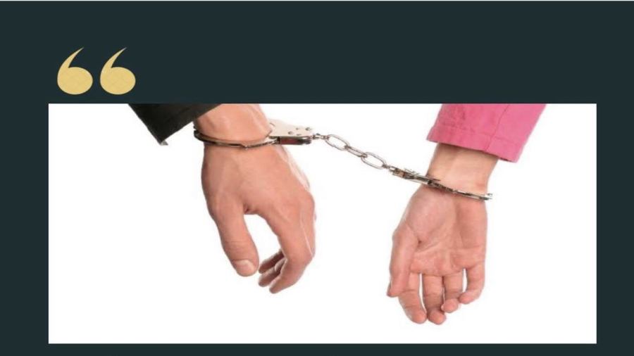 انیمیشن قضاوتت دیگران ،عبارات مثبت CoDA، ،جملات تاکیدی