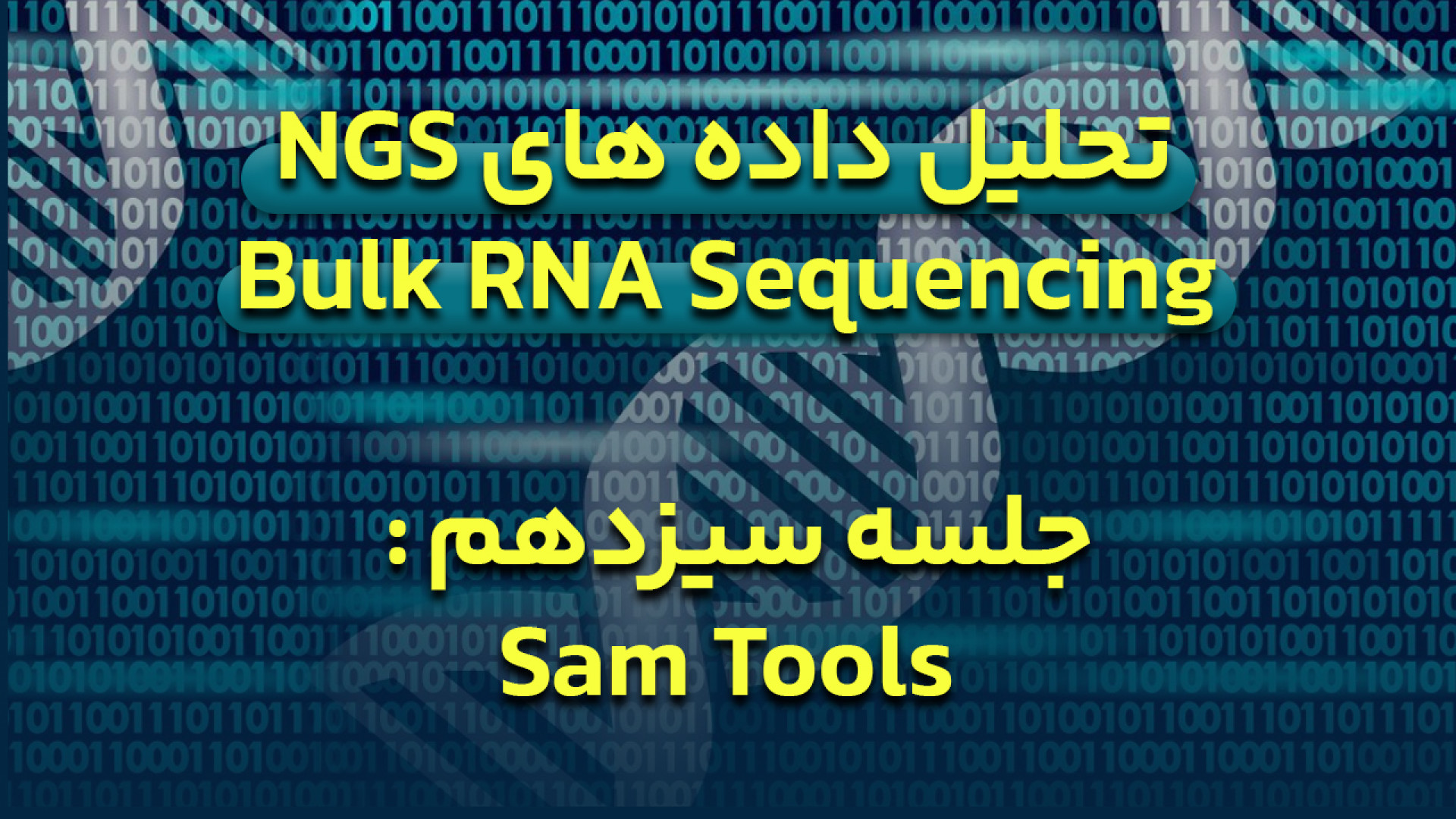 دوره آموزش تحلیل داده های NGS برای Bulk RNA Sequencing - جلسه 13 : SamTools منافذ باز پوست
