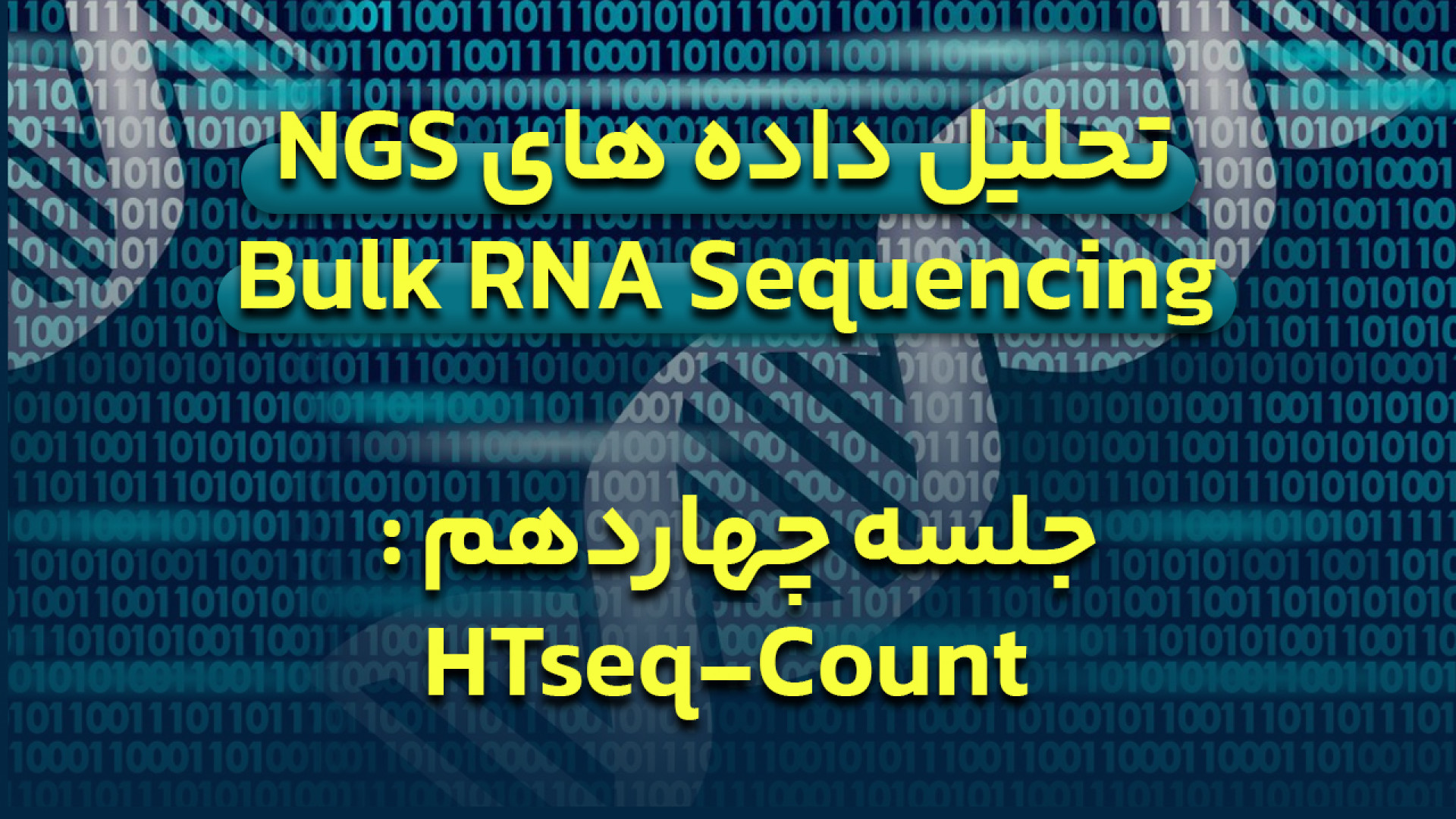 دوره آموزش تحلیل داده های NGS برای Bulk RNA Sequencing - جلسه 14 : HTseq-Count اما واتسون