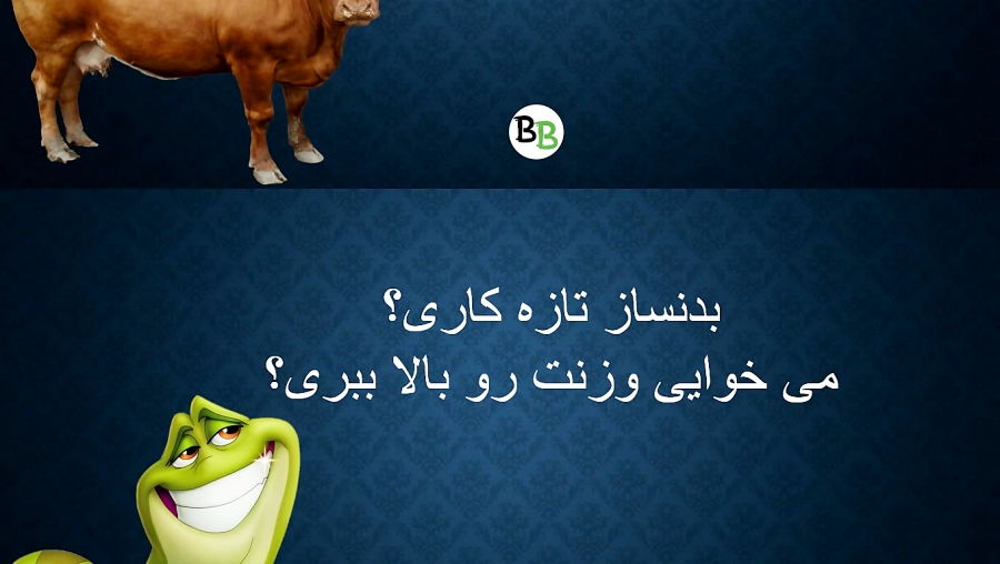 تغذیه بدنسازی