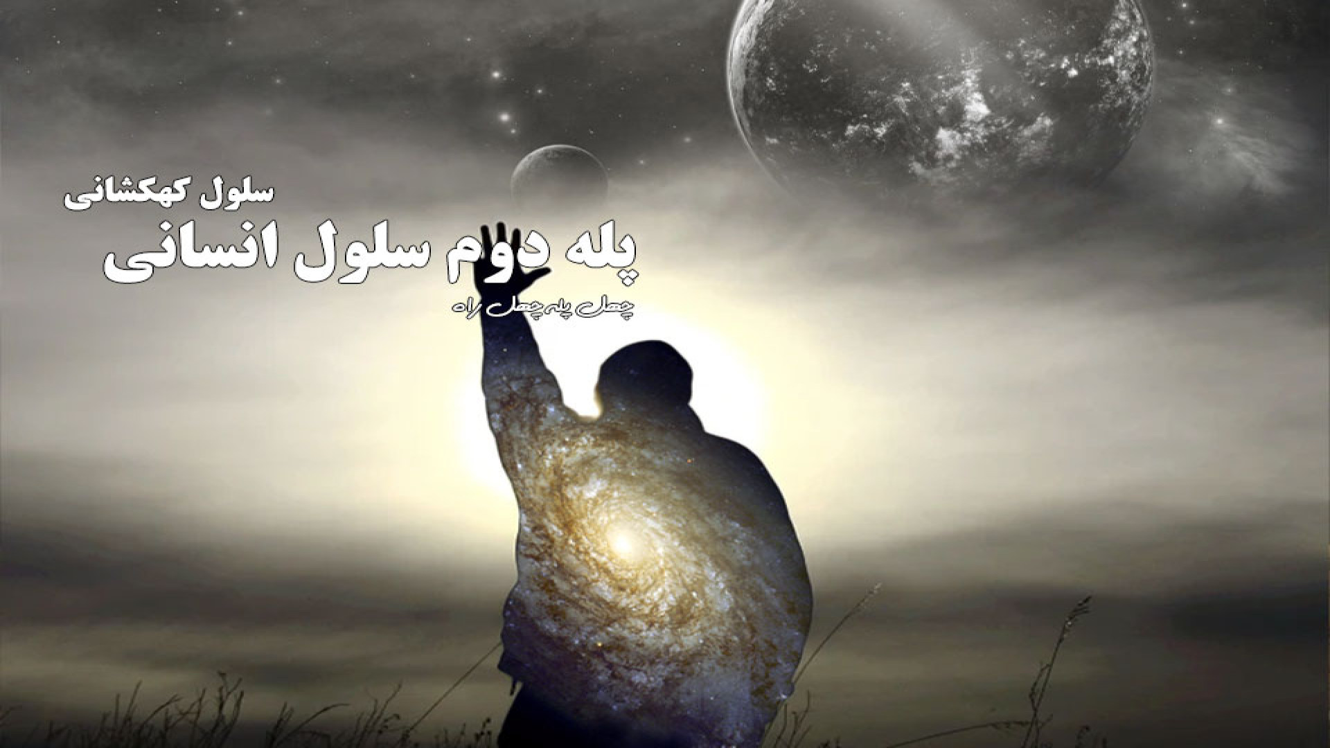سلول انسانی چای خور چای