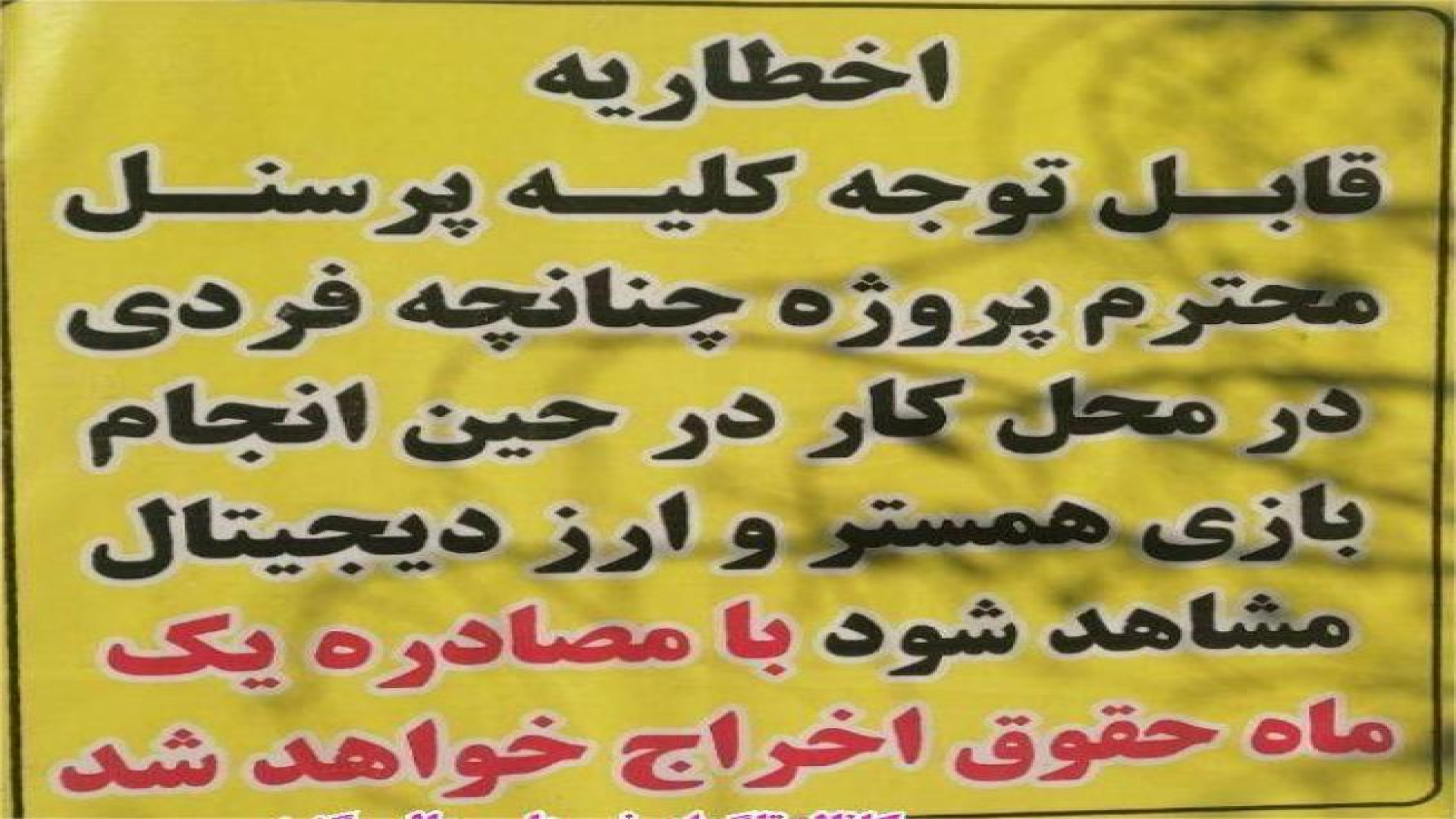 خرید , نات , کوین , همستر , تسویه , ریالی , انواع , رمز , ارزها