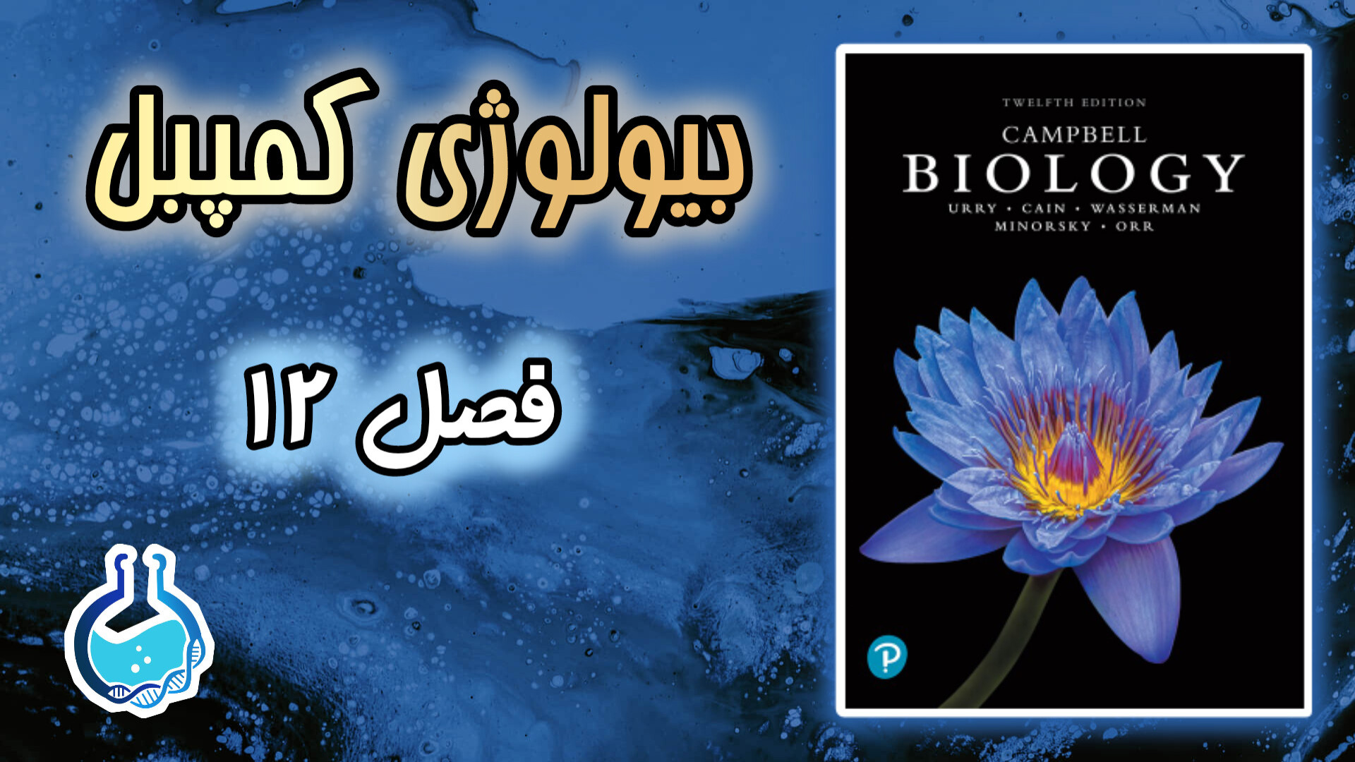 بیولوژی کمپبل: فصل 12 - چرخه سلولی لیلا بلوکات