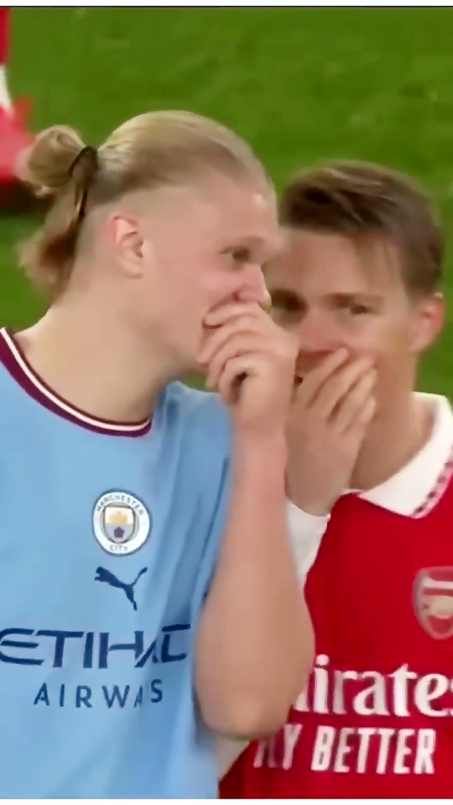 هالند و اودگارد