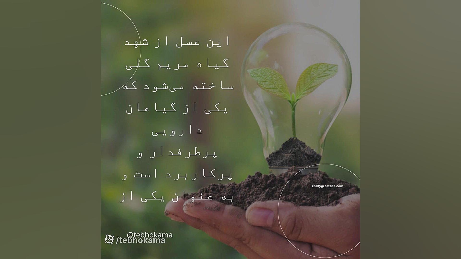 خواص ضد باکتریایی، ضد اسپاسم، ضد تعریق یک عسل !! زاویه سازی صورت