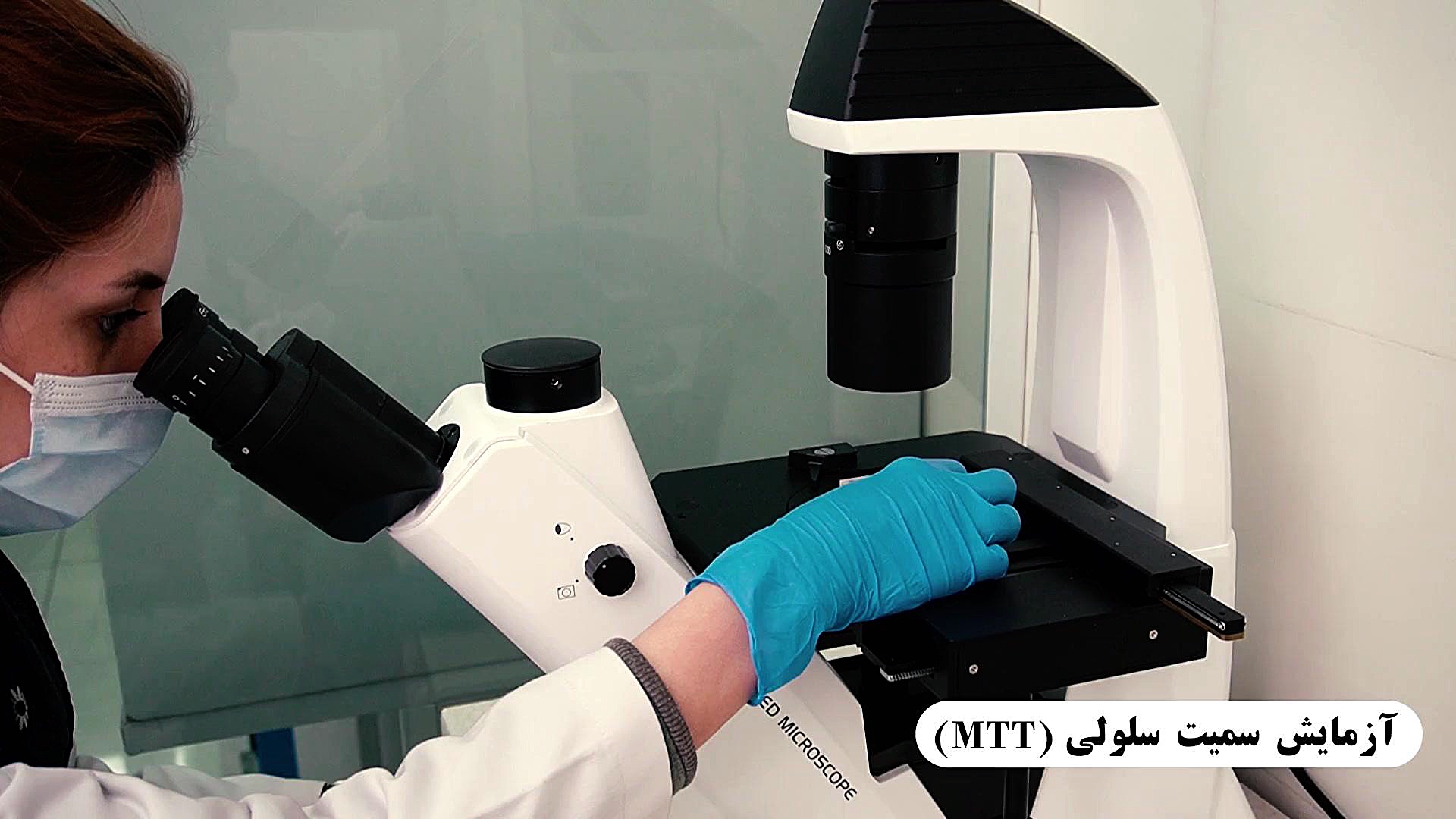 آزمون سمیت سلولی(mtt)_آزمایشگاه همکار نیکوفارمد هیو جکمن