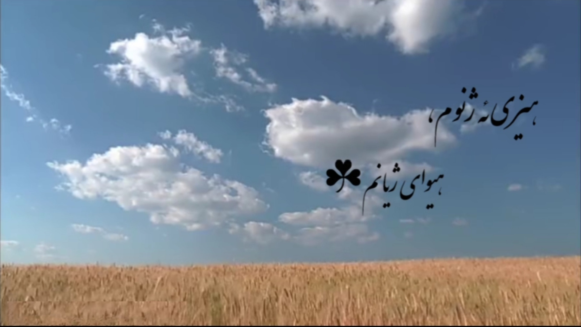 لالایی،مظهر خالقی ChIP-Chip