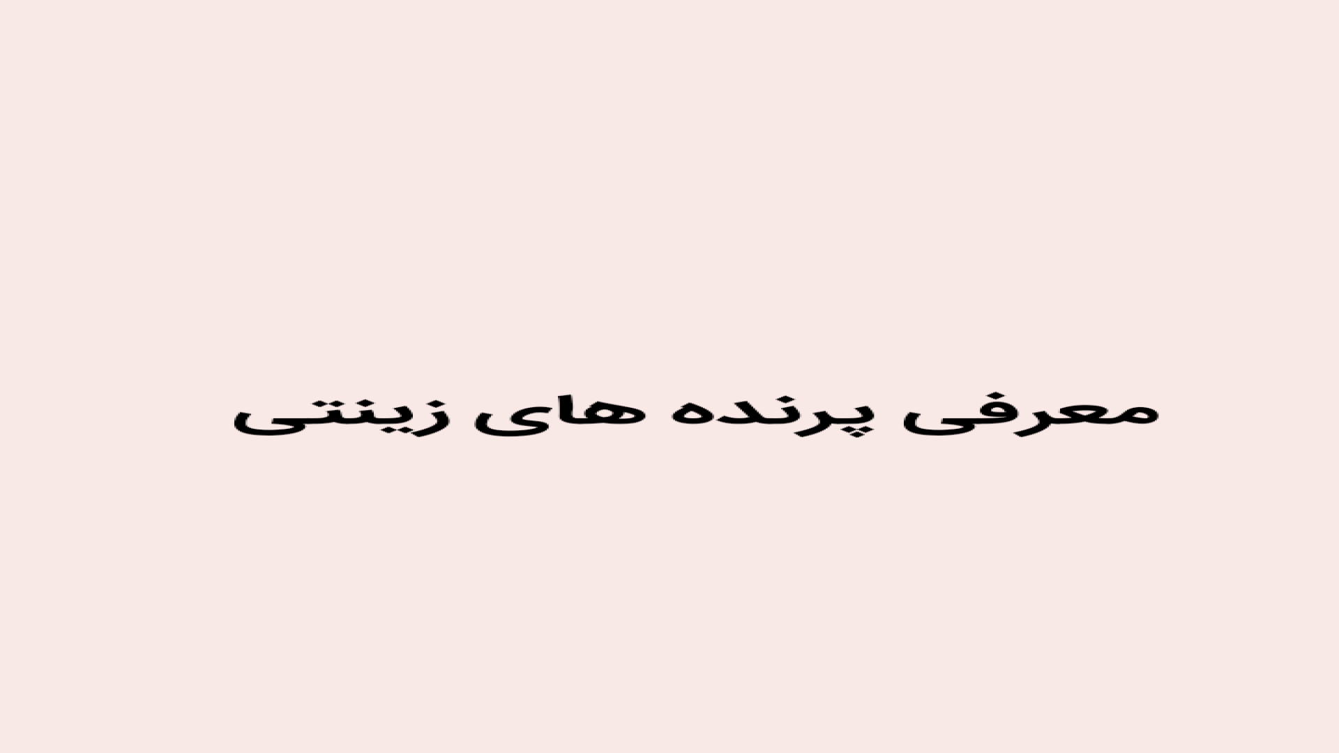 شگفتی های جهان ۳ معرفی پرنده های زینتی فصل سوم قسمت دوم زمان58ثانیه