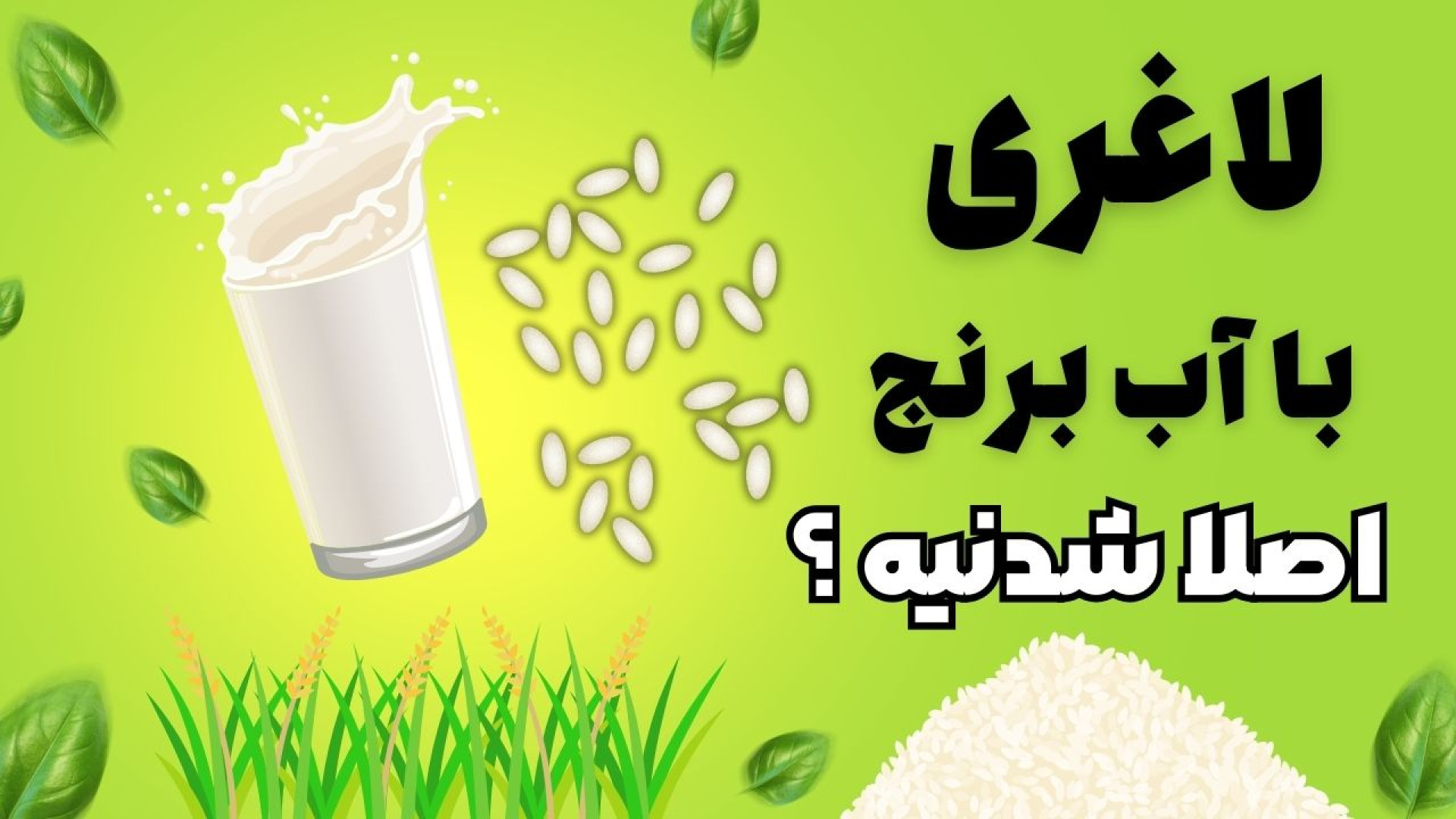 کاهش وزن با آب برنج ! پالپوتومی