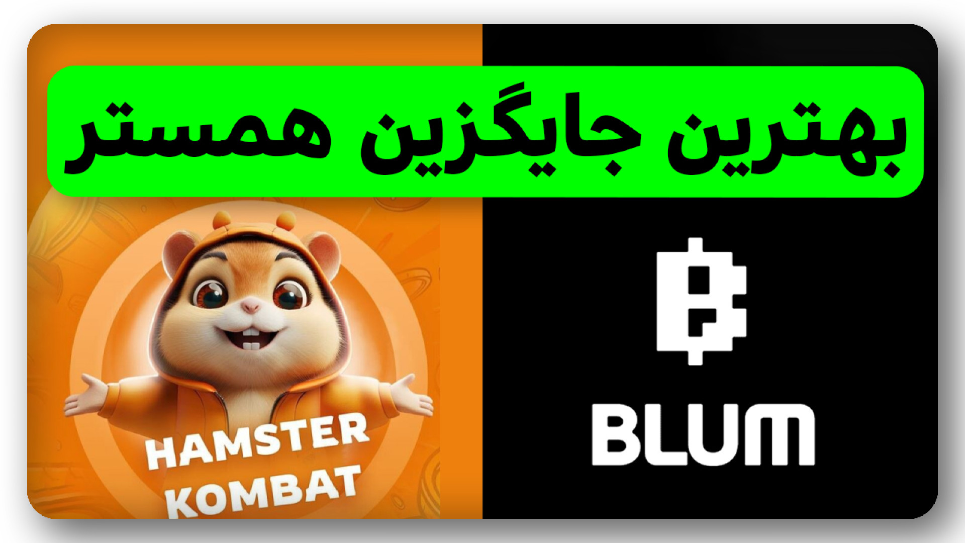 آموزش , جایگزین , همستر , کمبت , بنام , بلوم , ویدیو , معرفی , صفر , صد , ربات , تلگرامی , یعنی , ارزدیجیتال