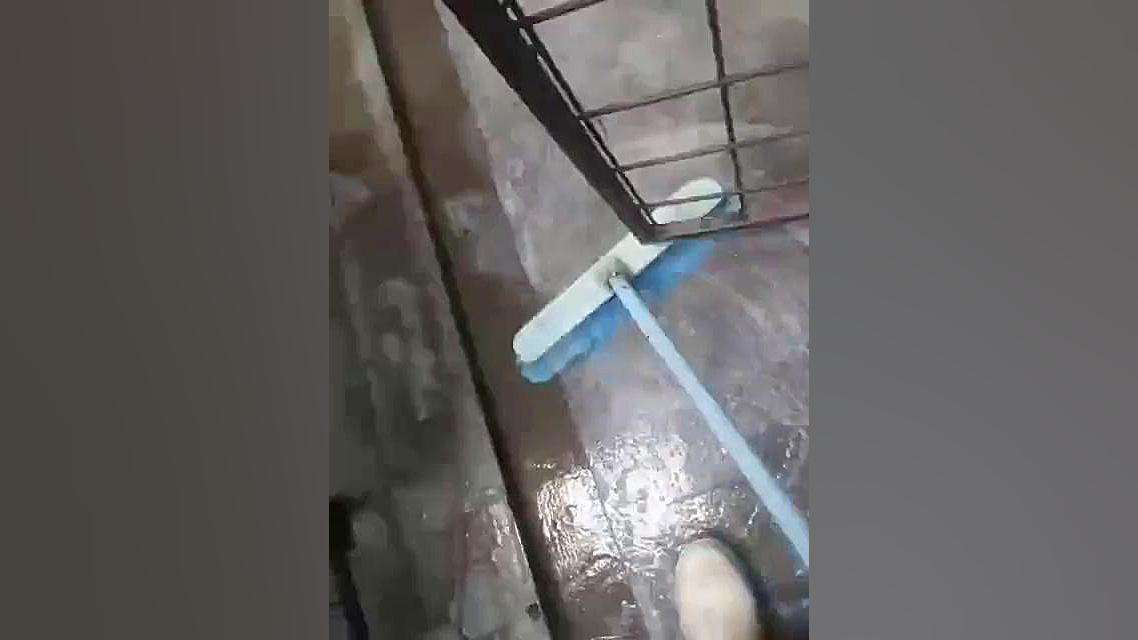 پانسیون سگ بزرگ دکتر محمد فلاح گرجی