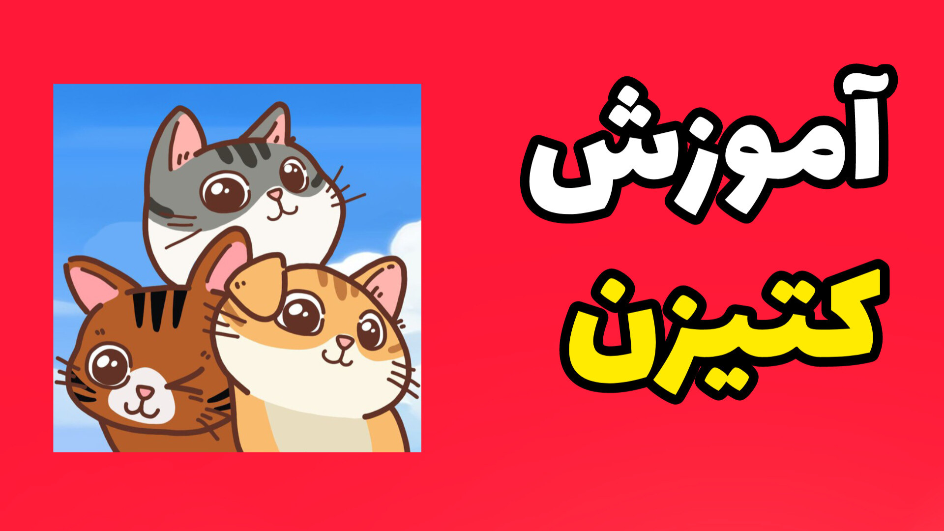 کتیزن , تلگرام , رو , چجوری , بدست , بیاریم , آموزش , یادگیری , لینک , عضویت , :
https: , catizenbot , gameapp?startapp=r_1908_12678709