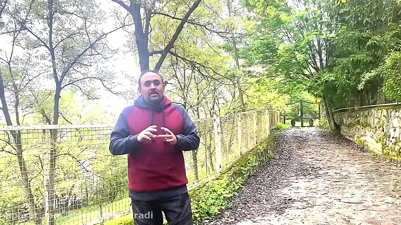 ام آر آی (MRI) ستون فقرات برای تشخیص دیسک و علت کمردرد از نگاه دکتر مرادی موچوله