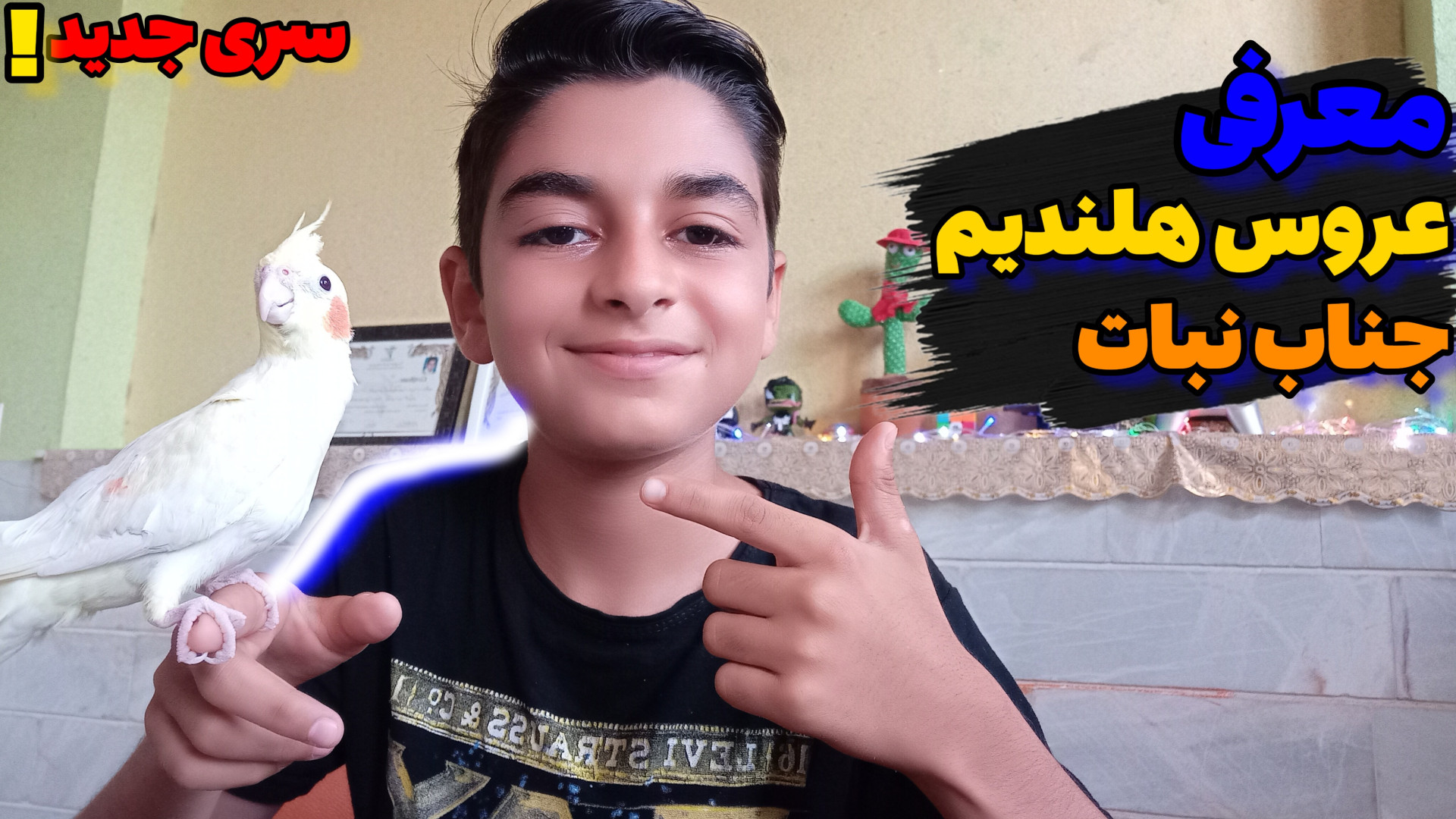 معرفی عروس هلندیم نبات!!! زمان170ثانیه