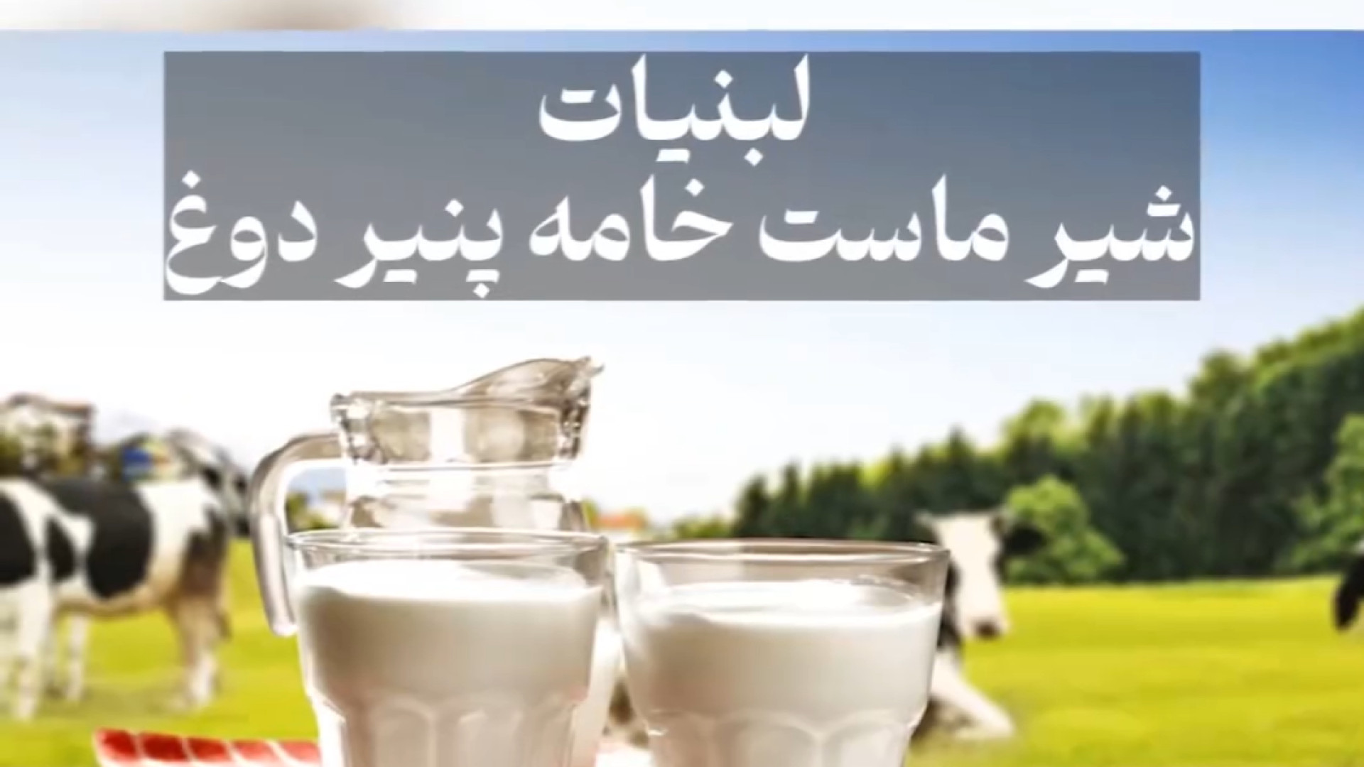 غذای آلرژی زا برای کودکان دکتر شهرام سیدی متخصص آلرژی و ایمونولوژی