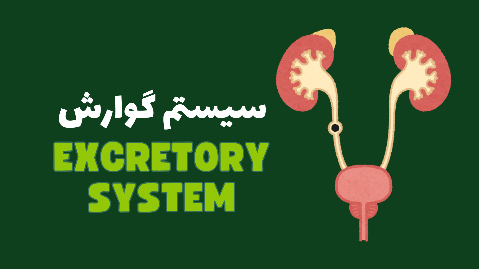 سیستم دفع _ میکروبیولوژی مد روز