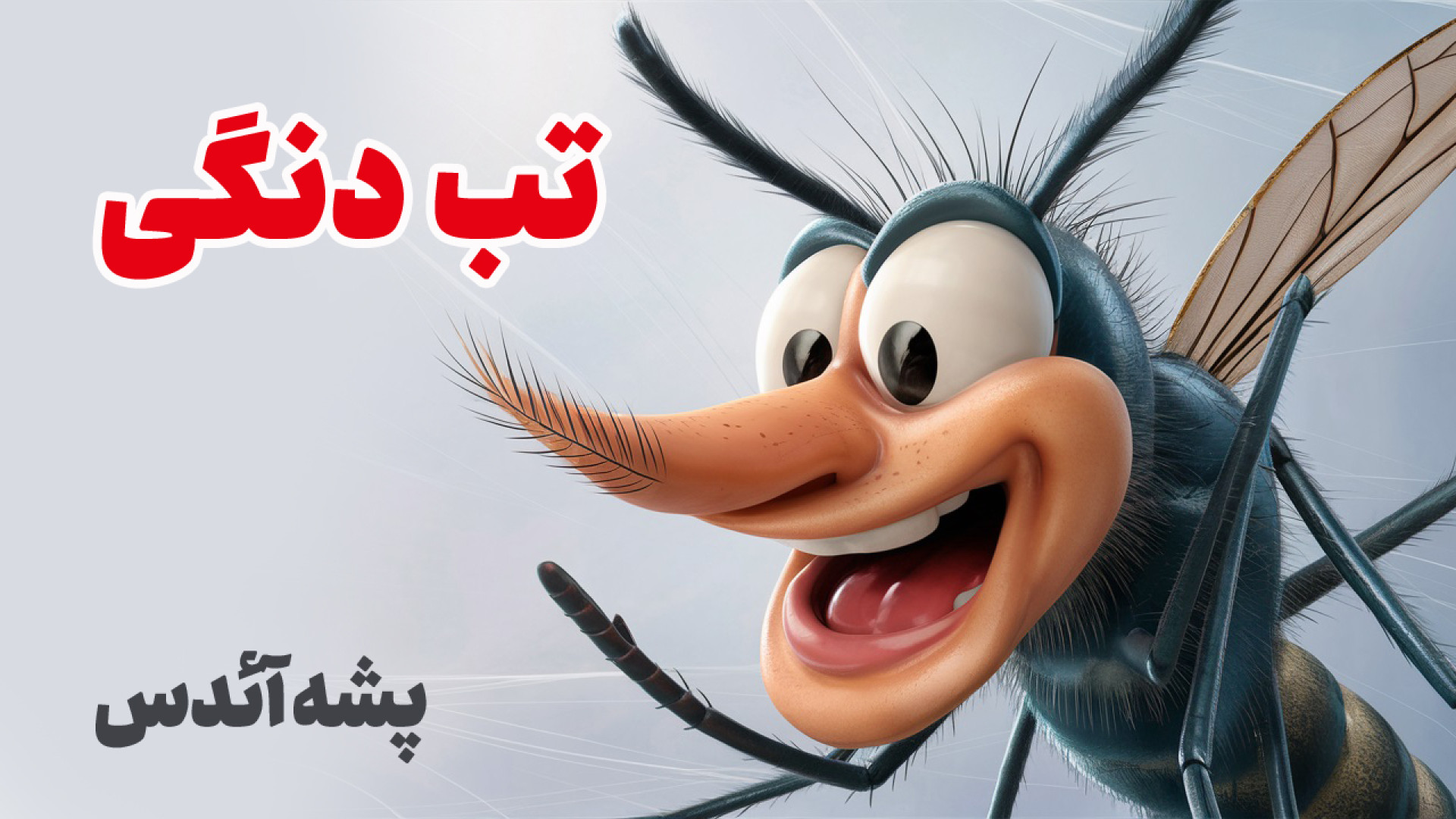 نکات پیشگری از تب دنگی : پشه آئدس : موزیکال ترمیم زیبایی دندان