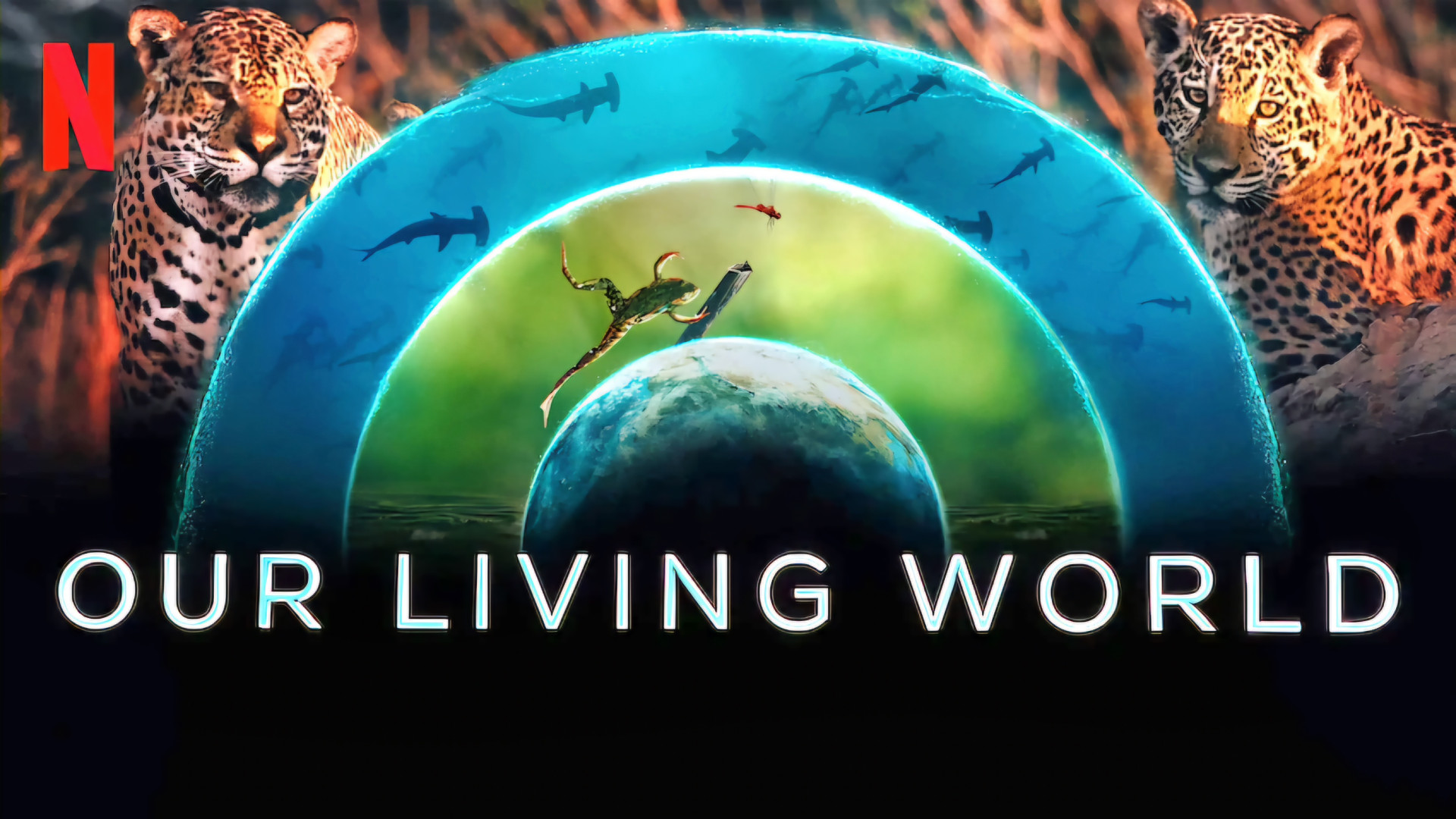 مستند سریالی دنیای زنده ما قسمت 04 جاده بازیابی Our Living World 2024 زمان2906ثانیه