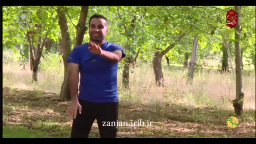 تمرینات ورزشی و هماهنگی عصب و عضله