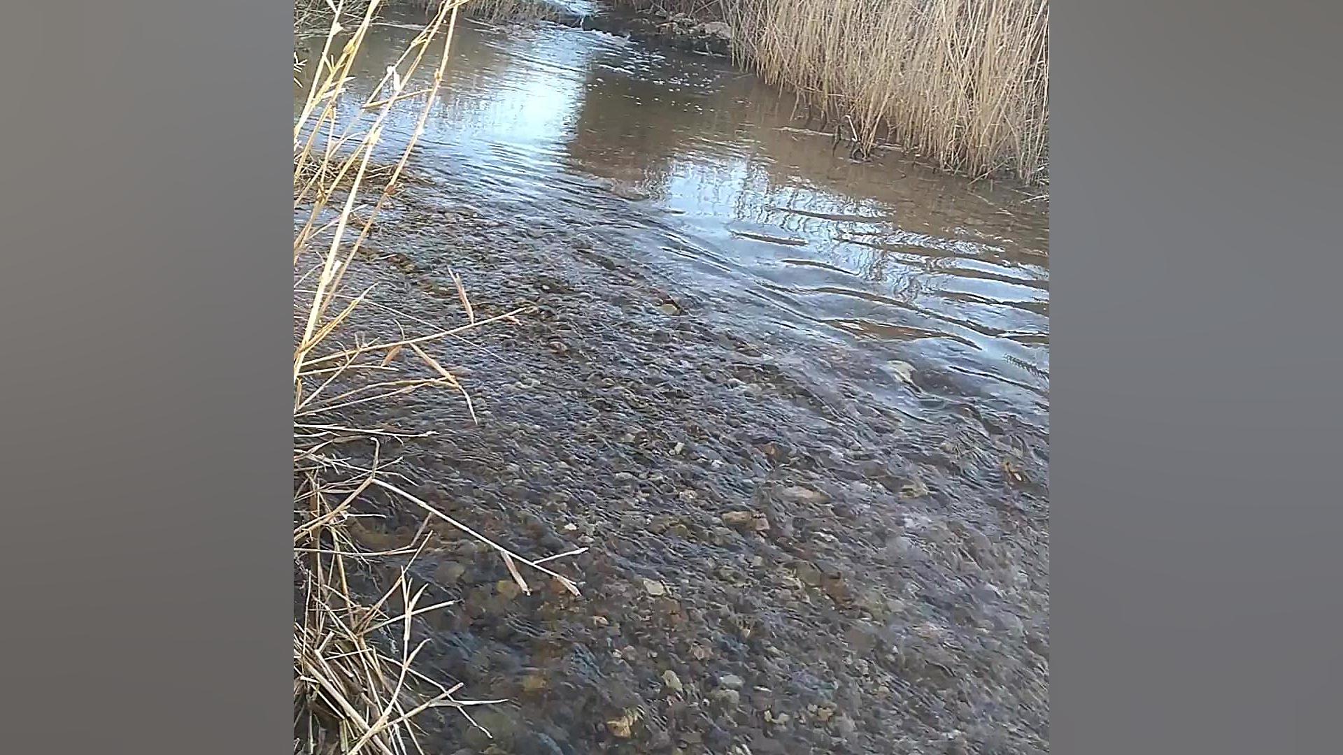 روستای کلوچه بیجار مناظر دیدنی - آدرس مپ درمان جای جوش