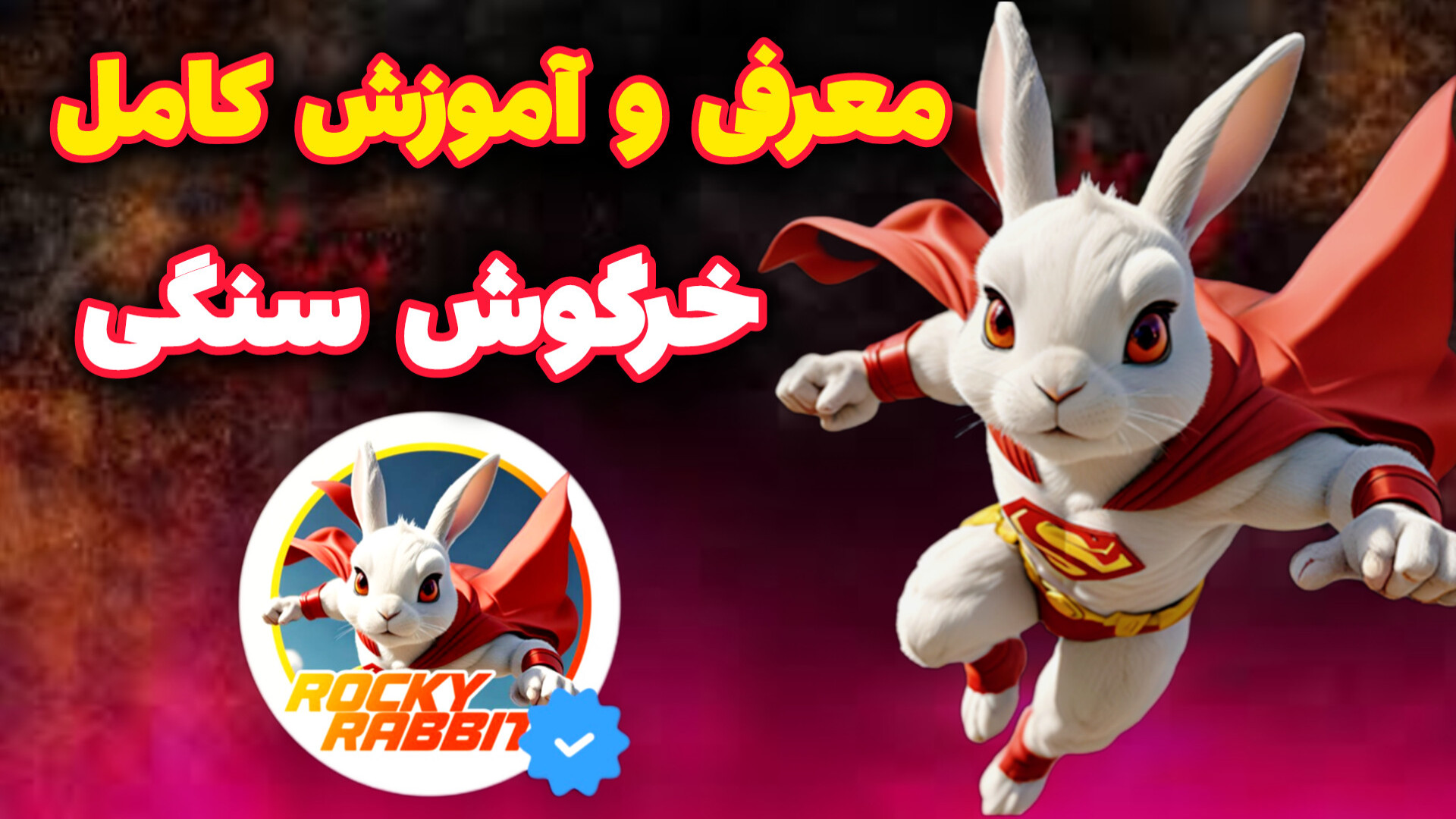 معرفی و آموزش کامل پروژه معتبر خرگوش سنگی (راکی ربیت) ROCKY RABBIT زمان467ثانیه
