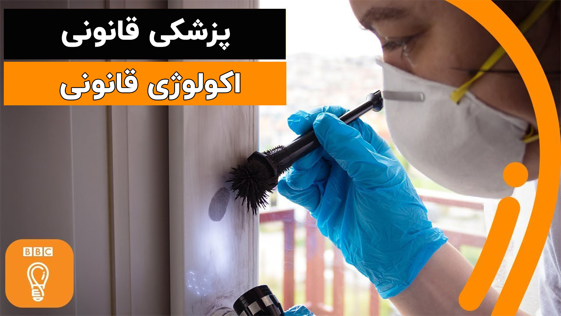 پزشکی قانونی| اکولوژی قانونی و گیاه شناسی قانونی پالپوتومی