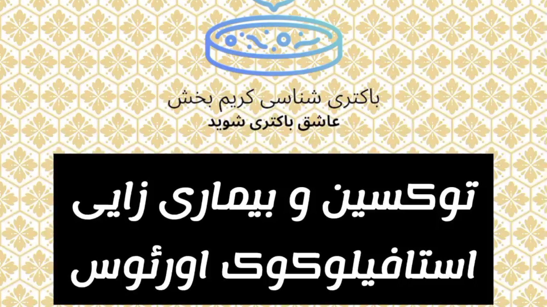 تدریس اگزوتوکسین ها و بیماری های متعاقب با آن در باکتری استافیلوکوک اورئوس ترمیم ونیر