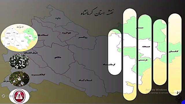 معرفی خواص دارویی گیاه کتان سفید زمان138ثانیه