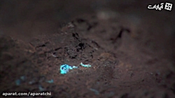 تیزر دهمین جشنواره سینما حقیقت