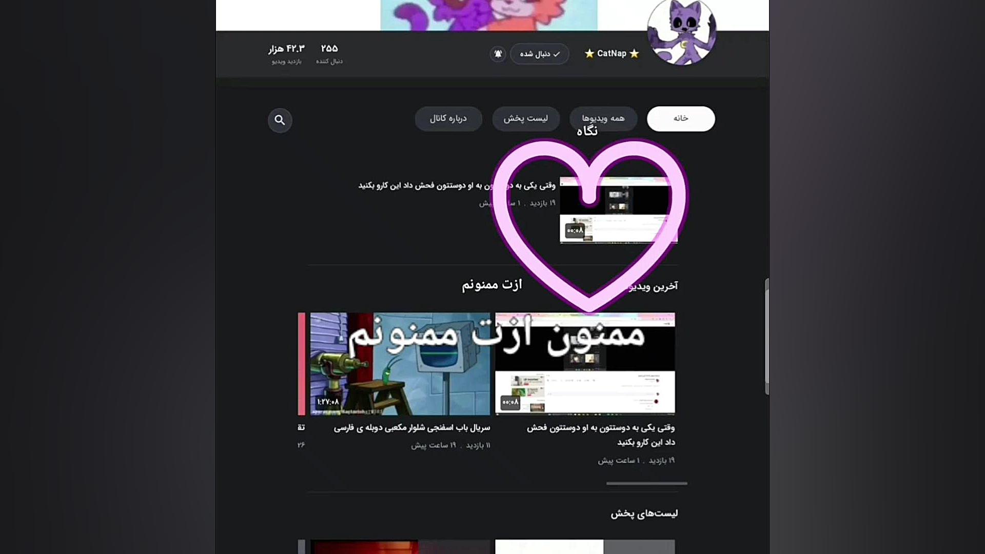 ممنون از مهربونیت cat nap مرغ طوفان