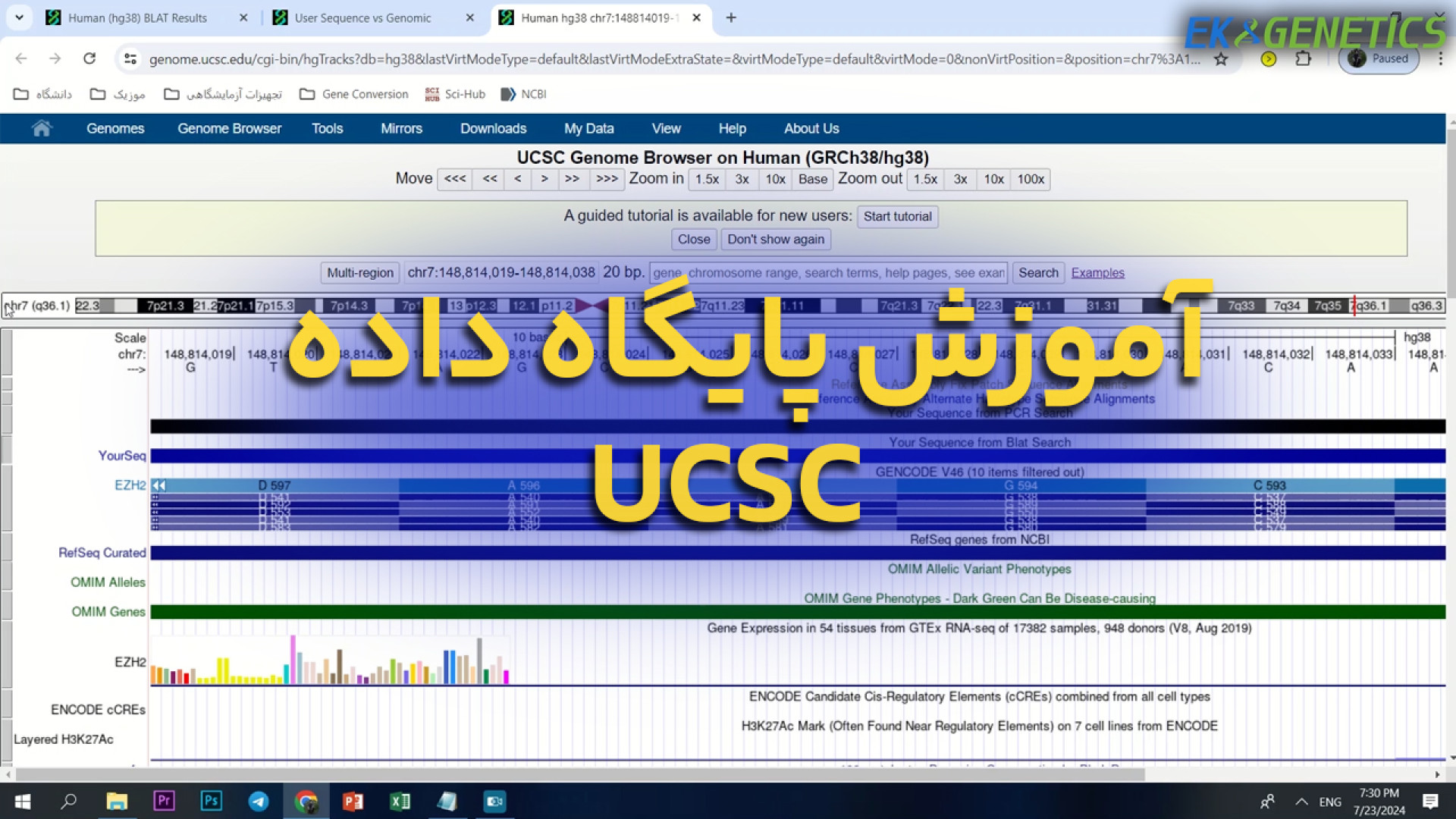 بیوانفورماتیک - آموزش پایگاه داده UCSC - قسمت دوم بیماری اپیدرمولیز بولوزا